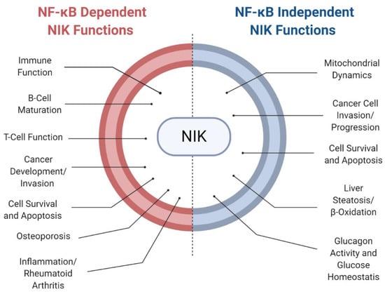 IJMS | Free Full-Text | Targeting NF-κB-Inducing Kinase (NIK) in Immunity,  Inflammation, and Cancer