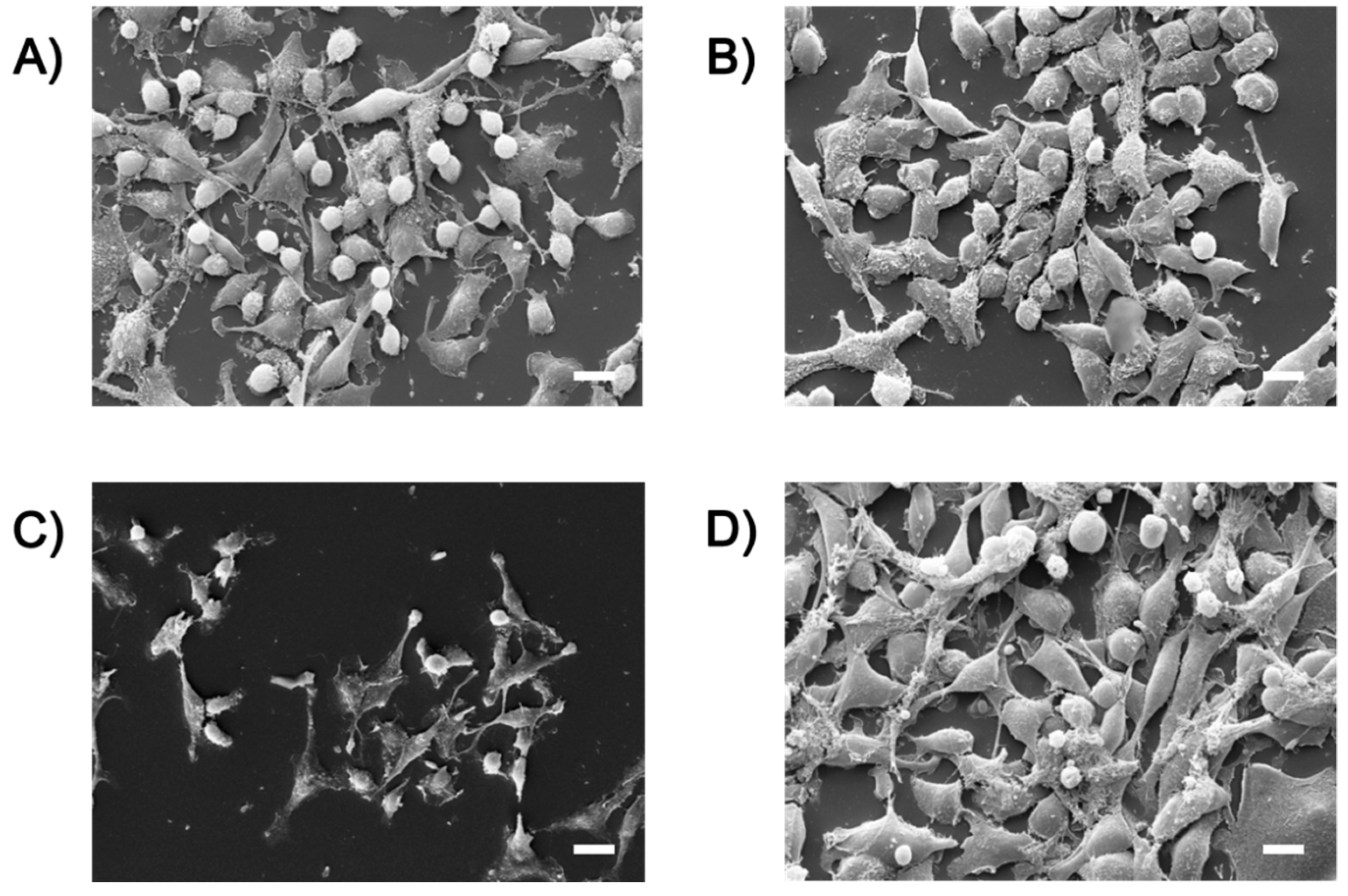 Ijms 21 08473 g008 Ijms 21 08473 g008