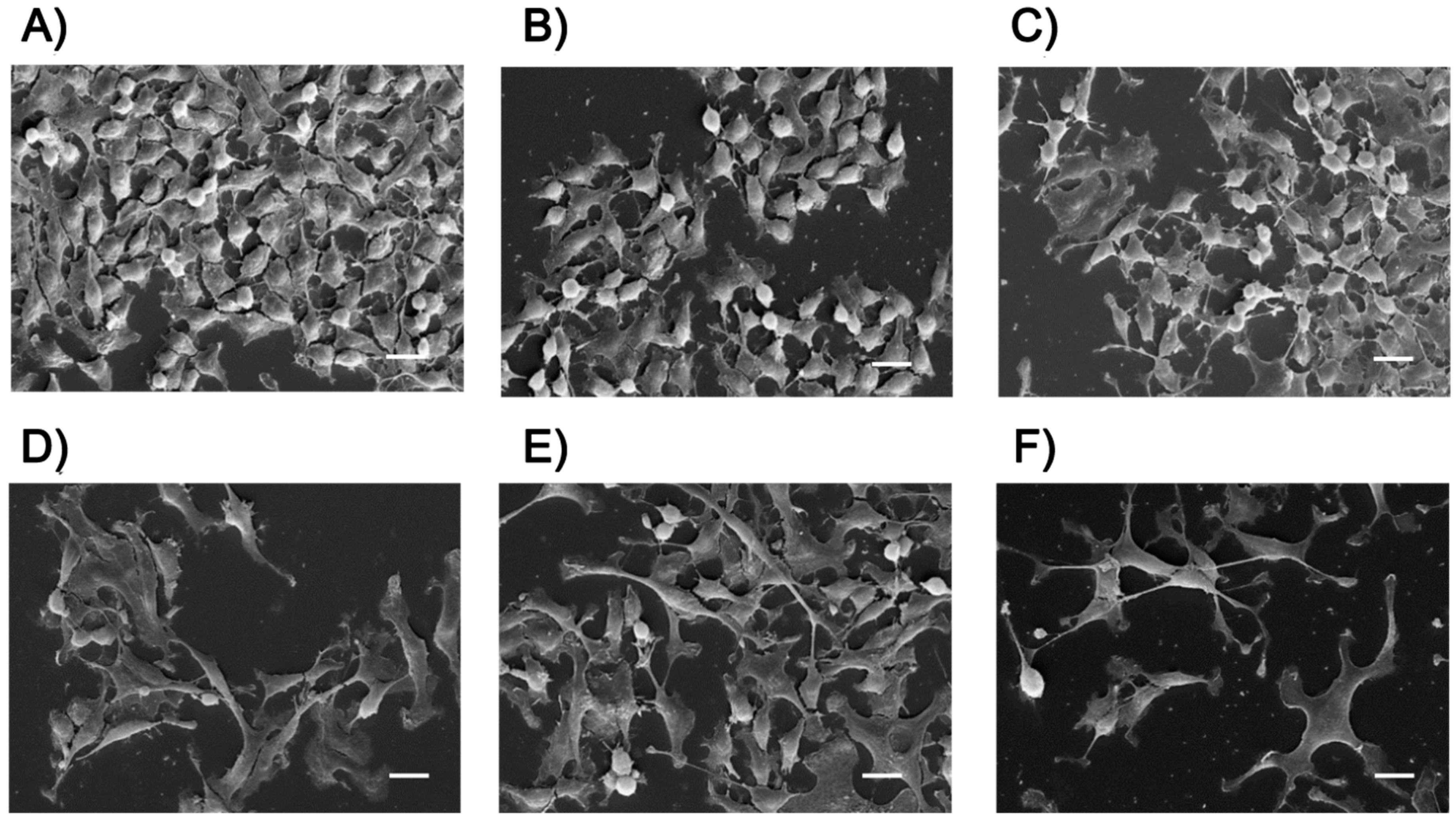 Ijms 21 08473 g009 Ijms 21 08473 g009