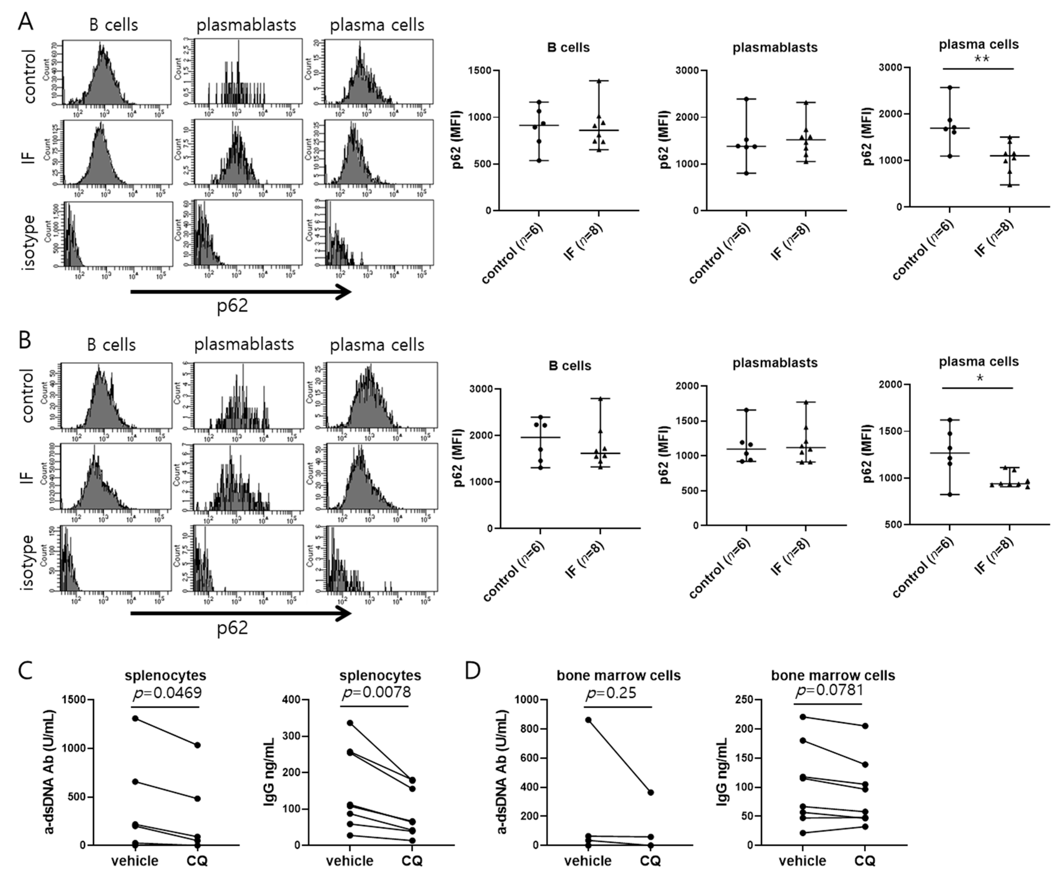 Ijms 21 08477 g004 Ijms 21 08477 g004