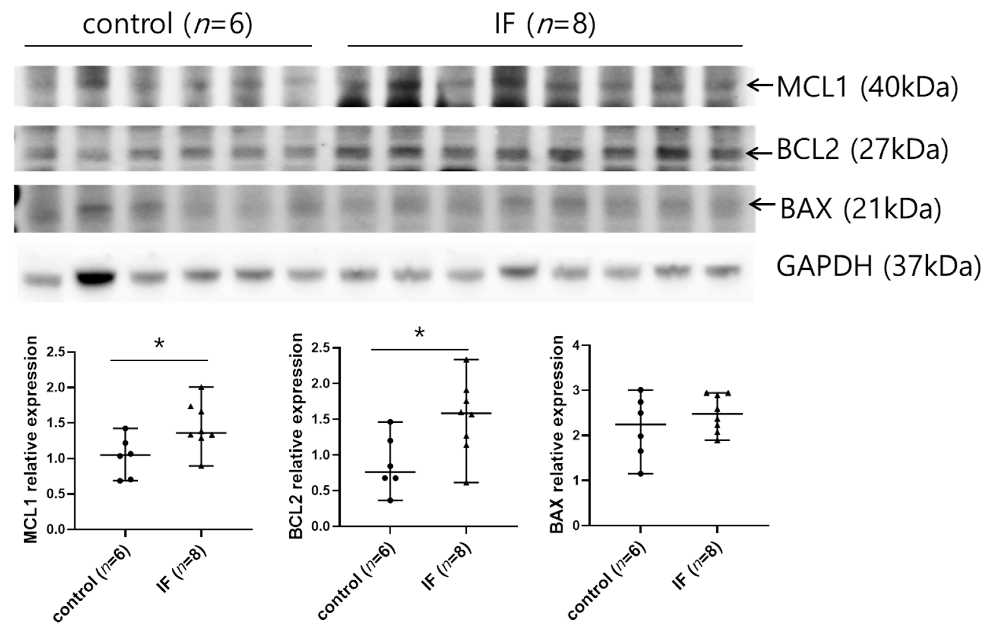 Ijms 21 08477 g005 Ijms 21 08477 g005