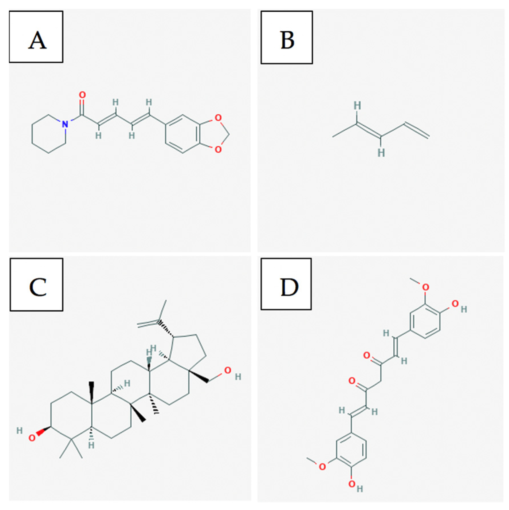 Ijms 21 08480 g002 Ijms 21 08480 g002