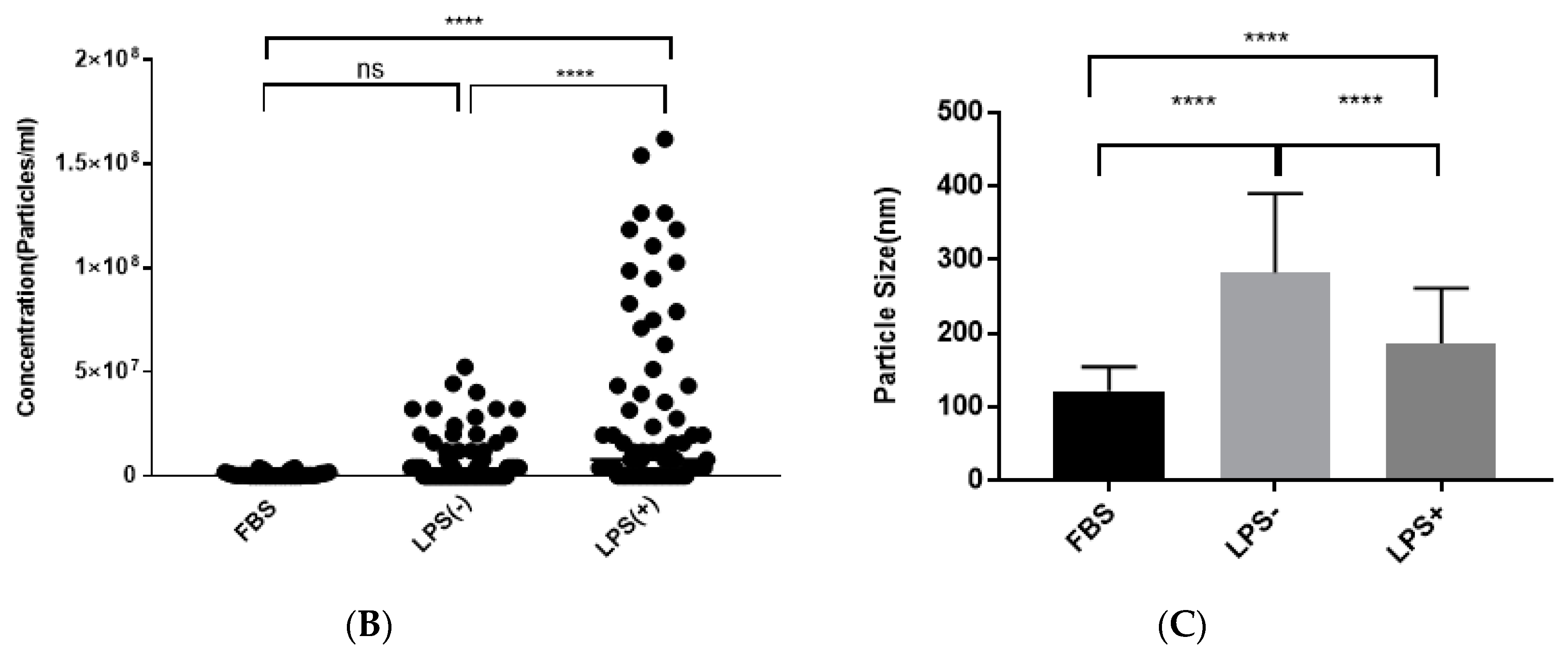 Ijms 21 08490 g002b Ijms 21 08490 g002b