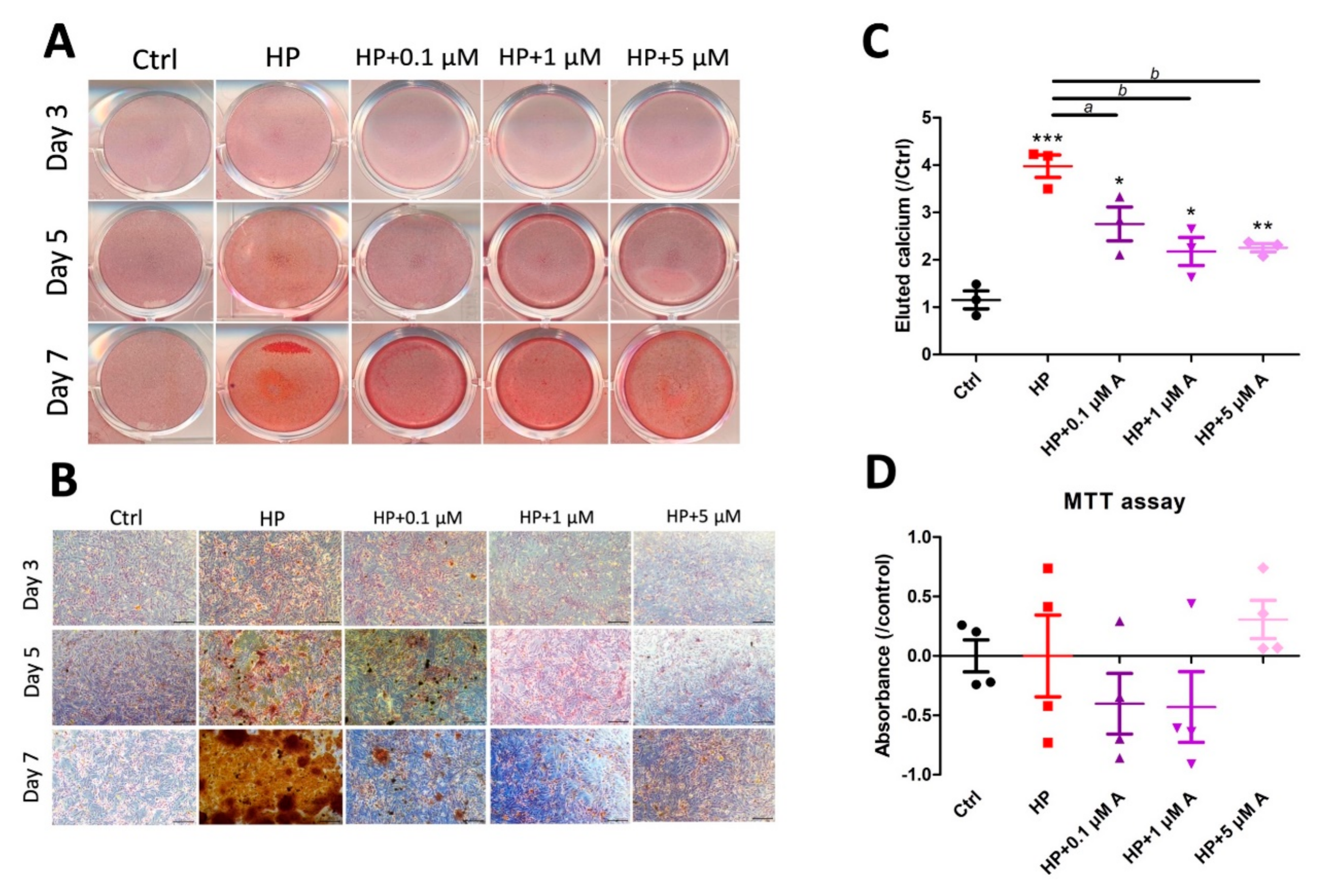 Ijms 21 08530 g001 Ijms 21 08530 g001