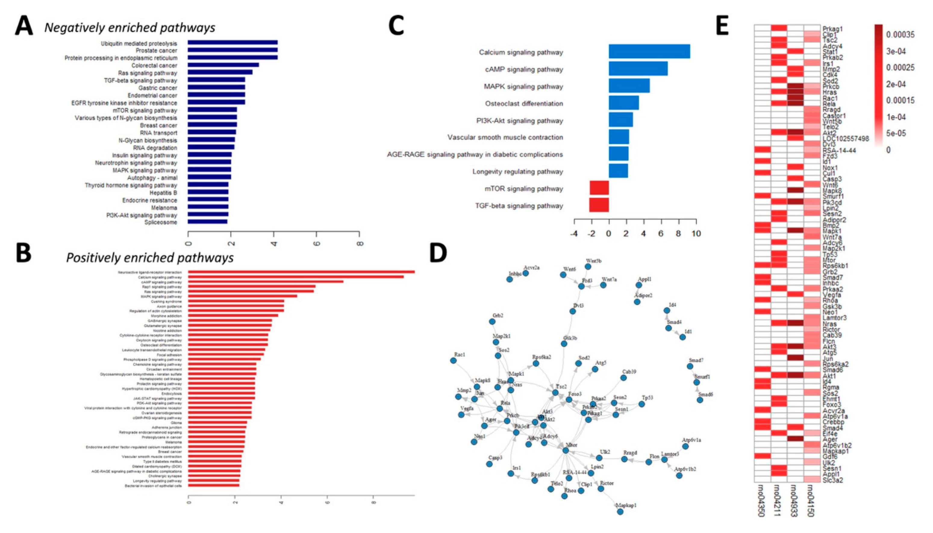 Ijms 21 08530 g004 Ijms 21 08530 g004