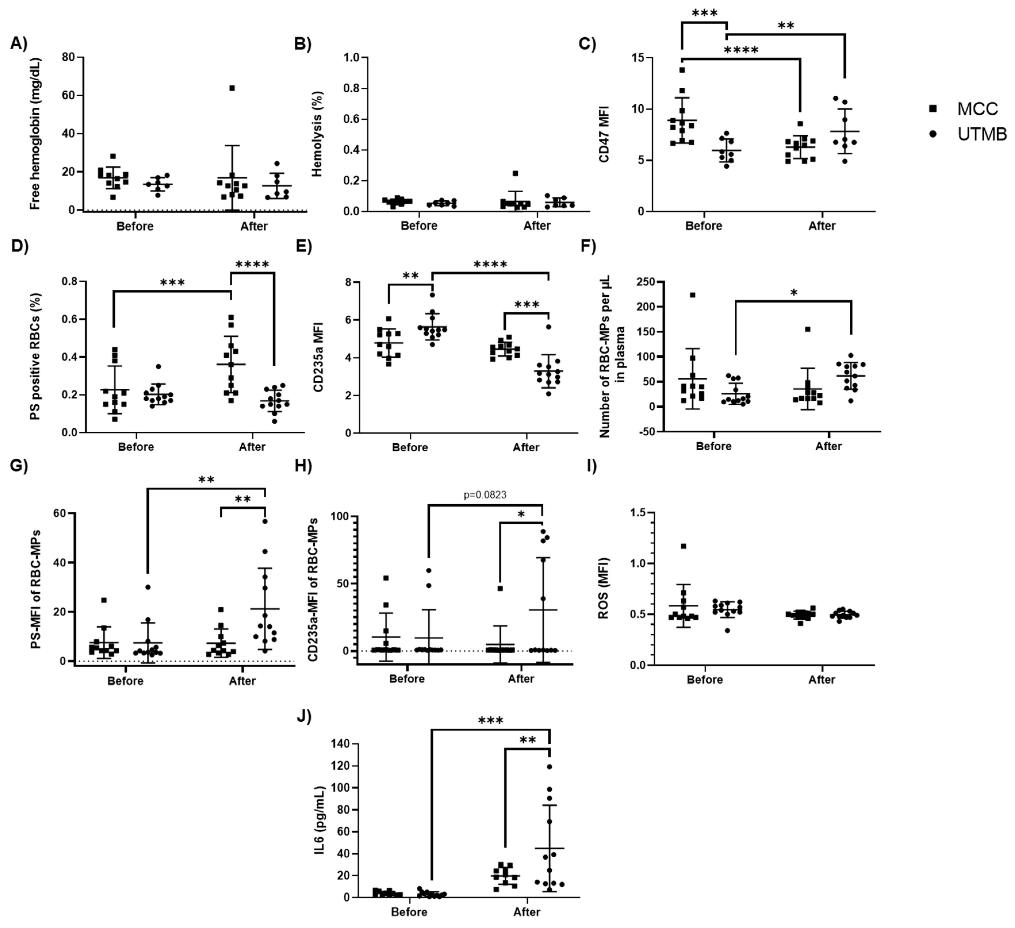 Ijms 21 08531 g002 Ijms 21 08531 g002