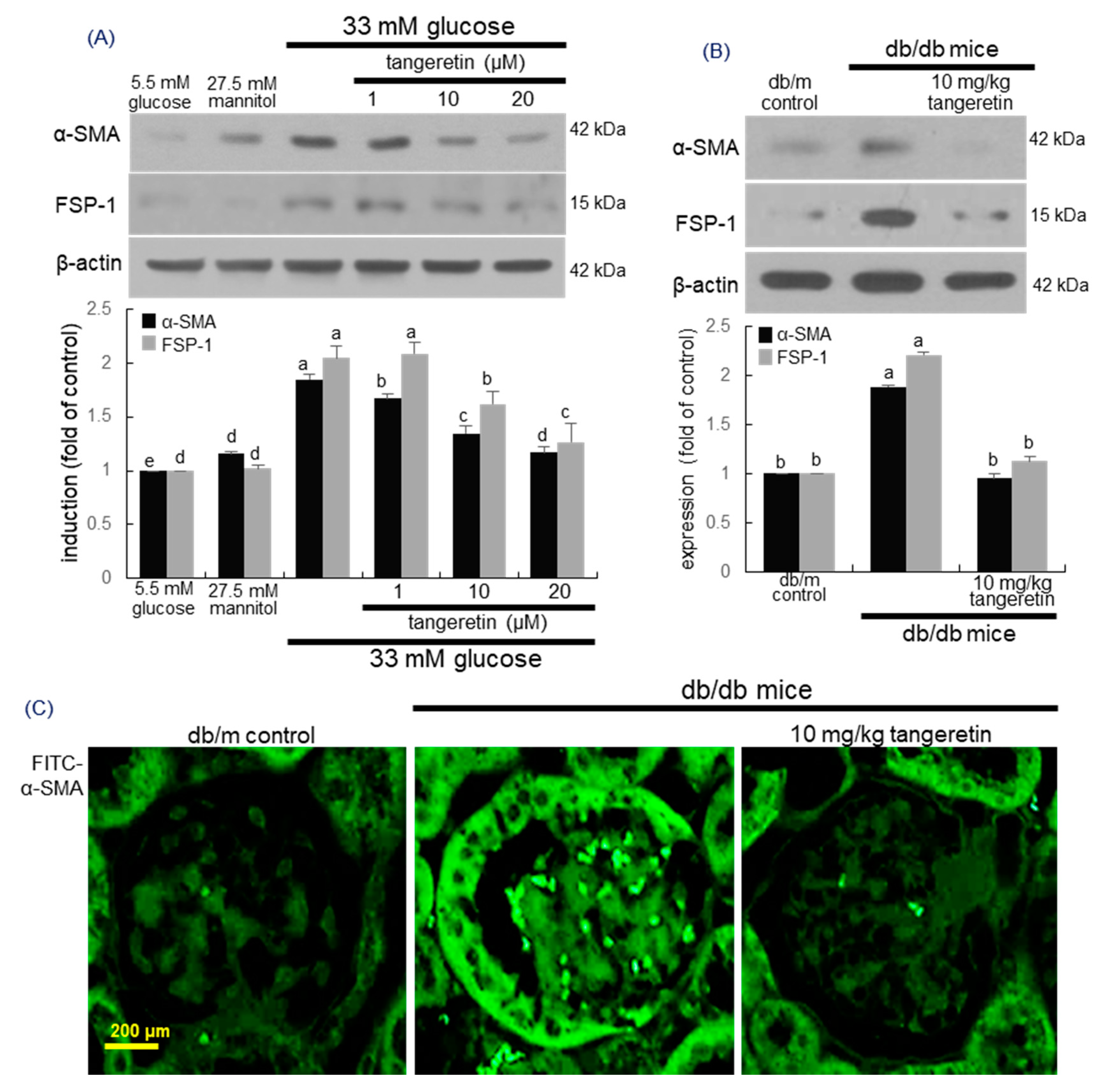 Ijms 21 08577 g002 Ijms 21 08577 g002