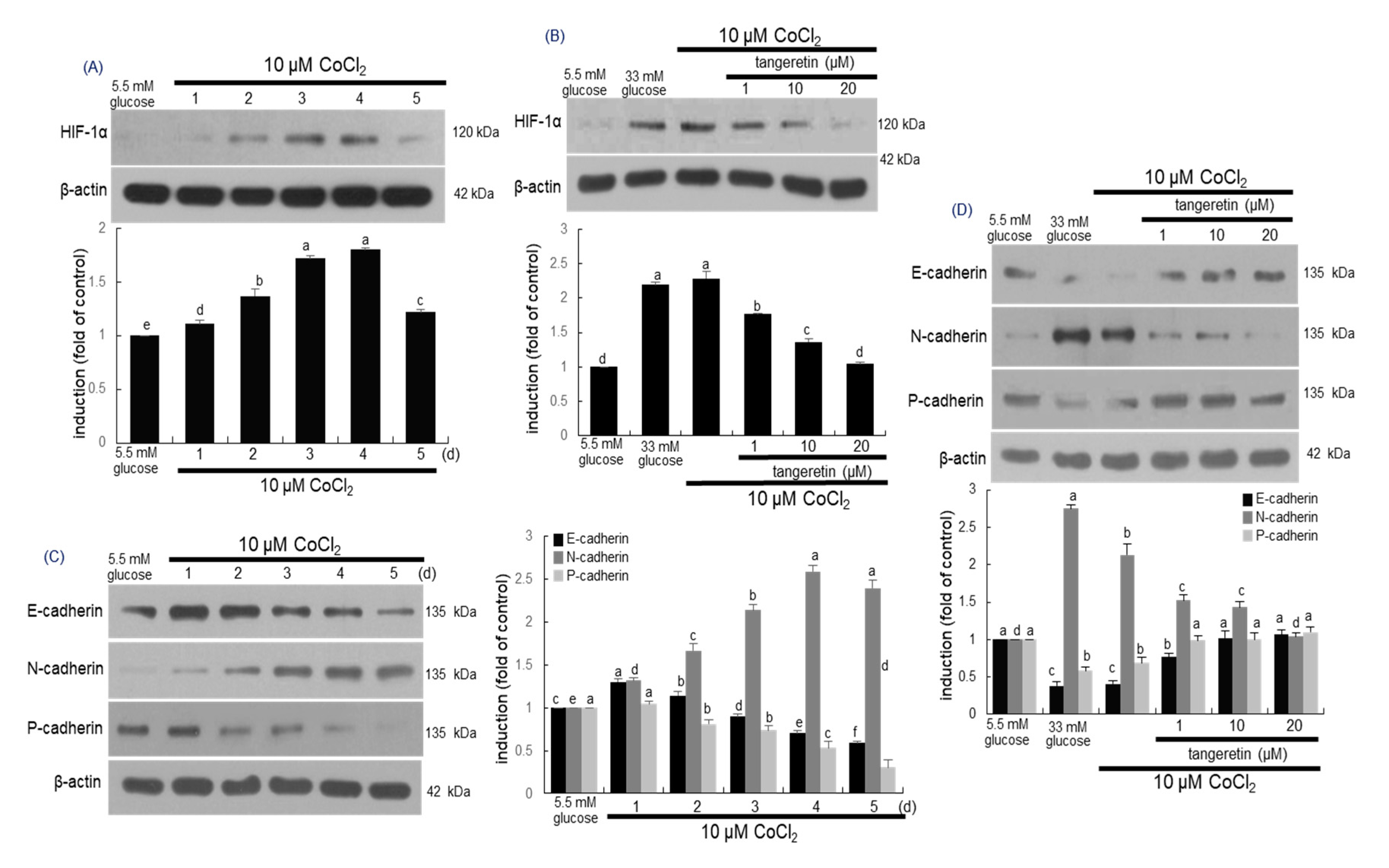 Ijms 21 08577 g007 Ijms 21 08577 g007