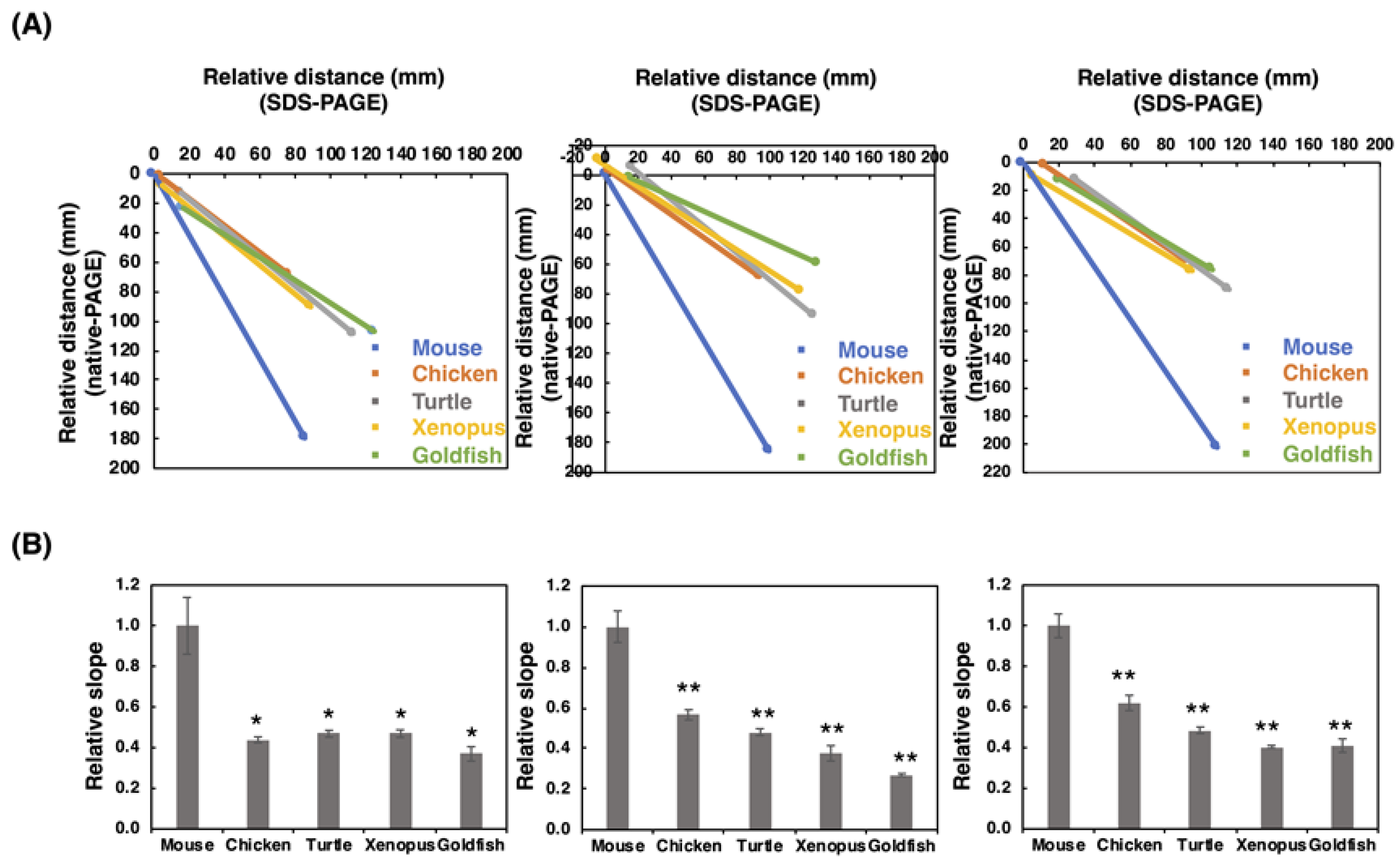 Ijms 21 08593 g004 Ijms 21 08593 g004