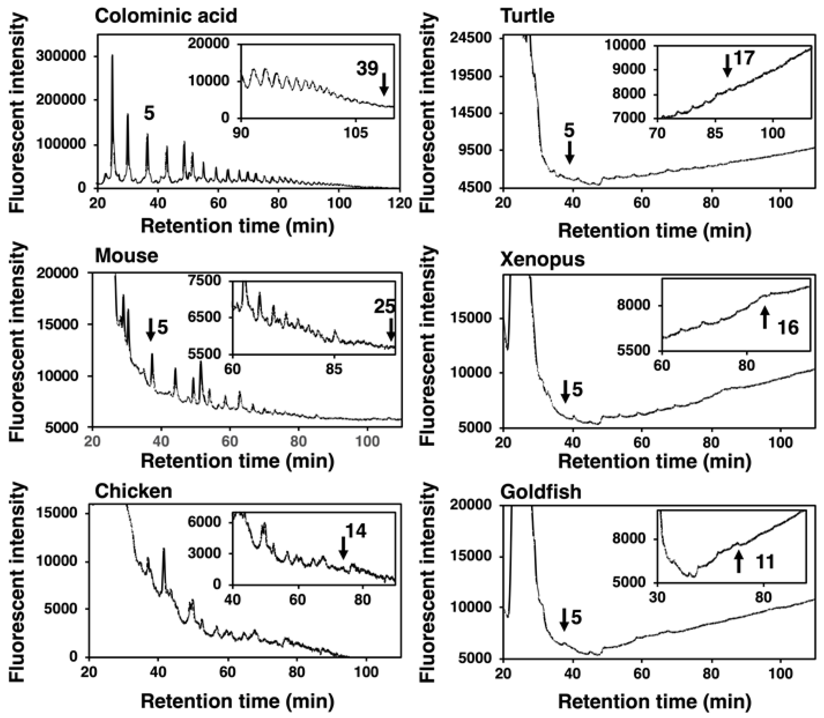 Ijms 21 08593 g006 Ijms 21 08593 g006