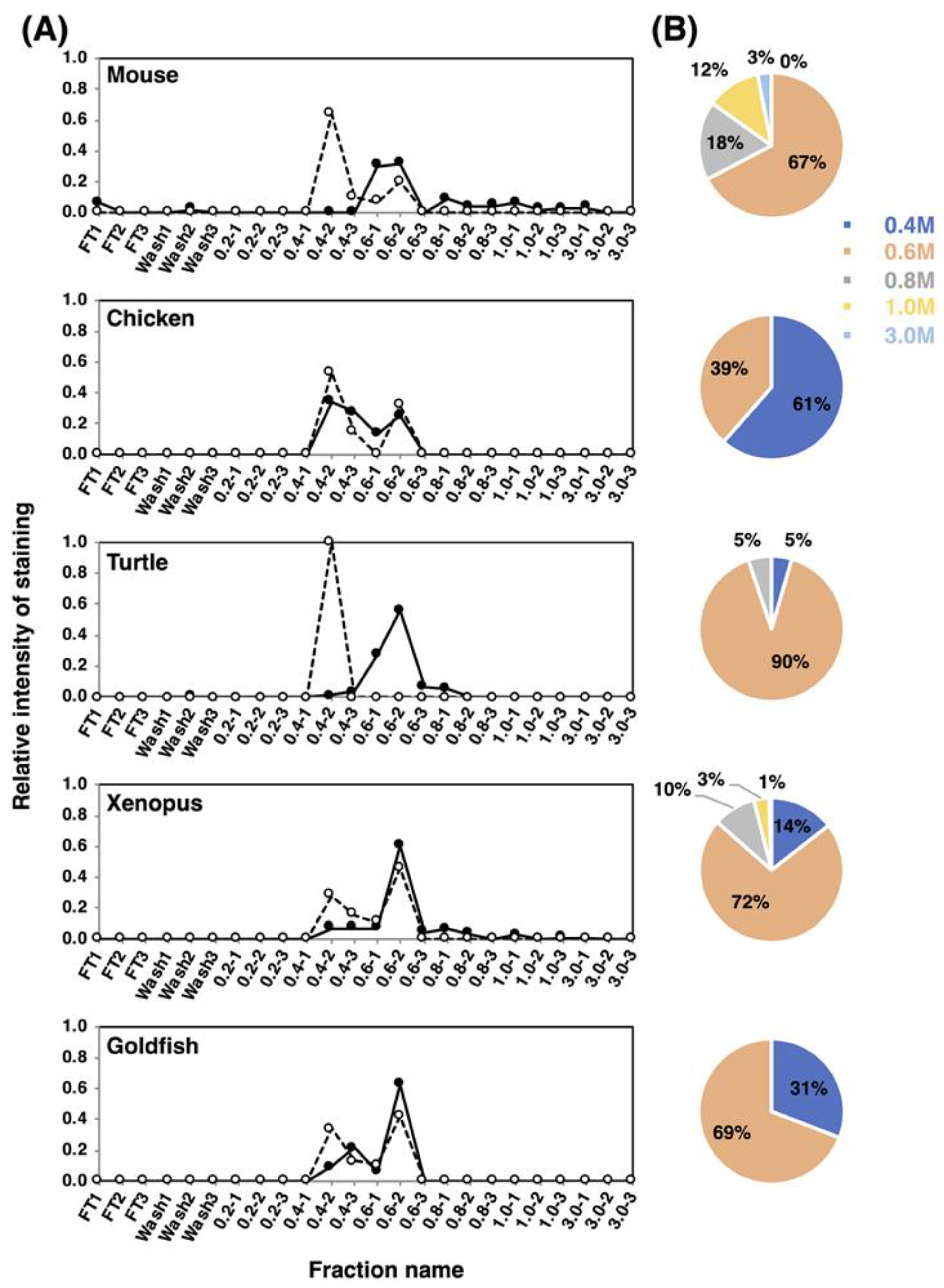 Ijms 21 08593 g008 Ijms 21 08593 g008