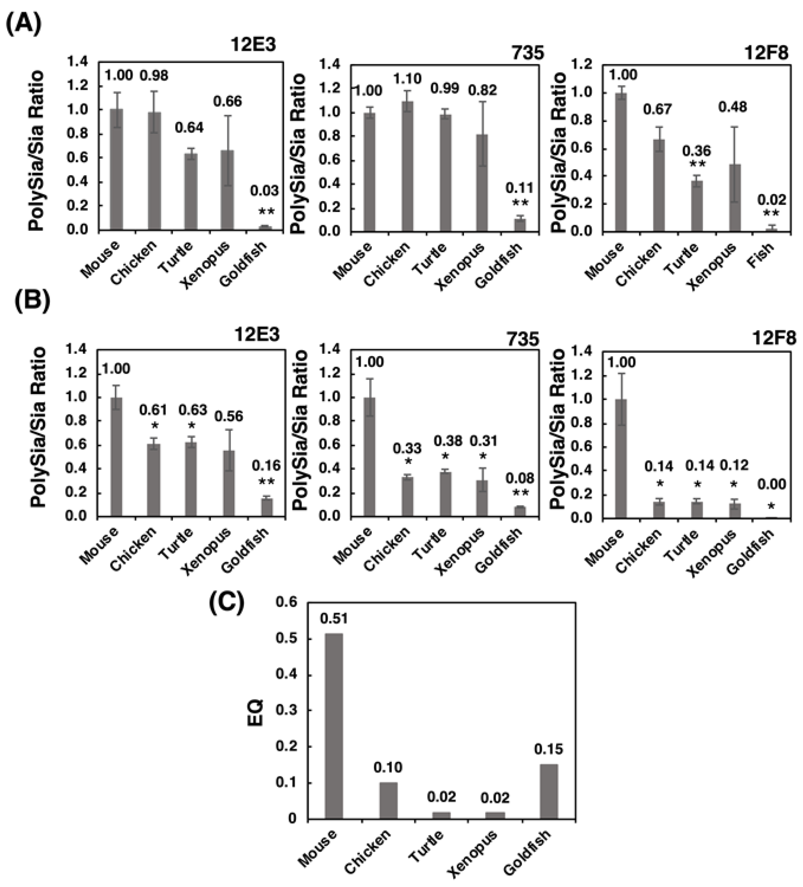 Ijms 21 08593 g010 Ijms 21 08593 g010