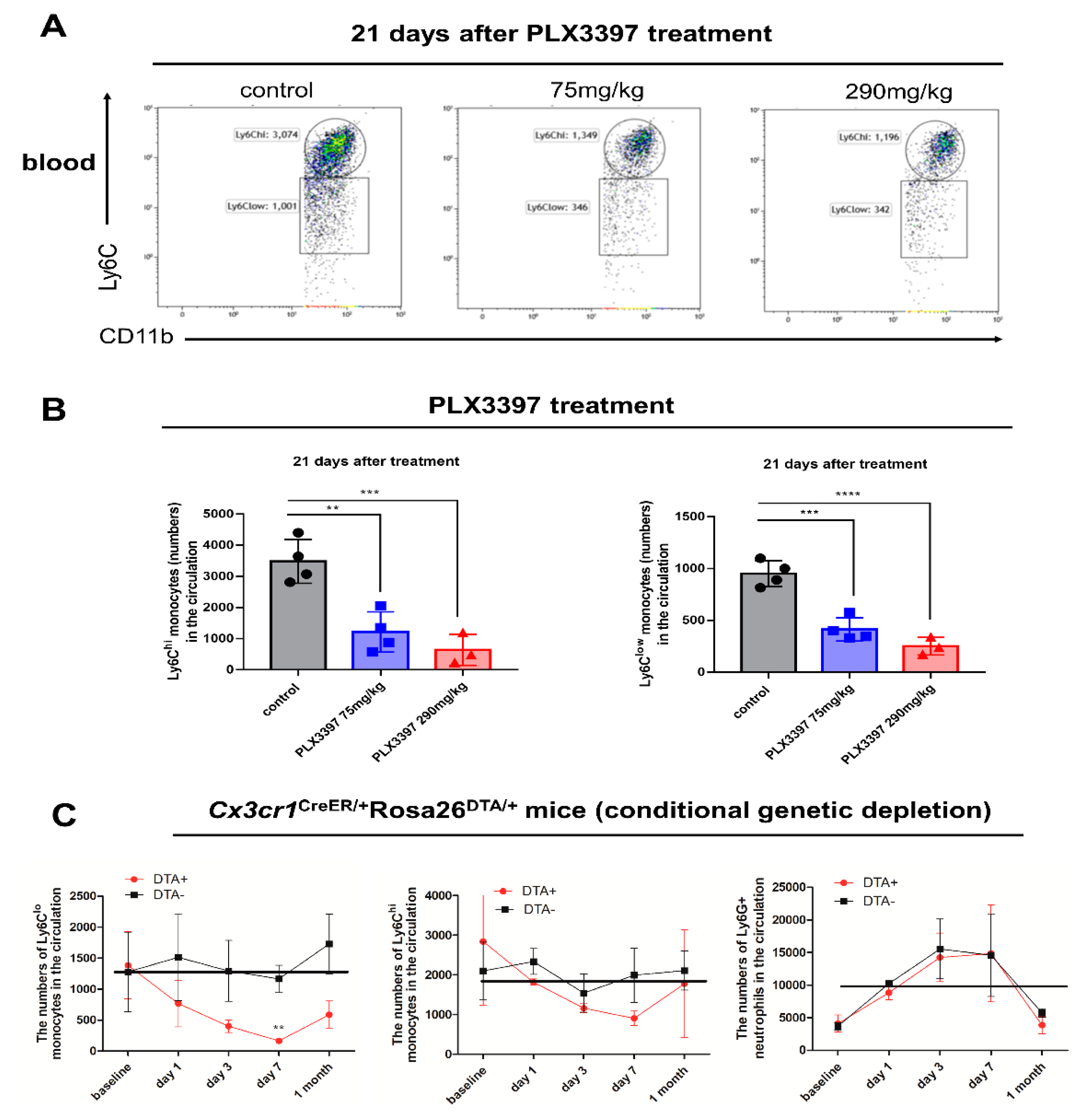 Ijms 21 08603 g005 Ijms 21 08603 g005