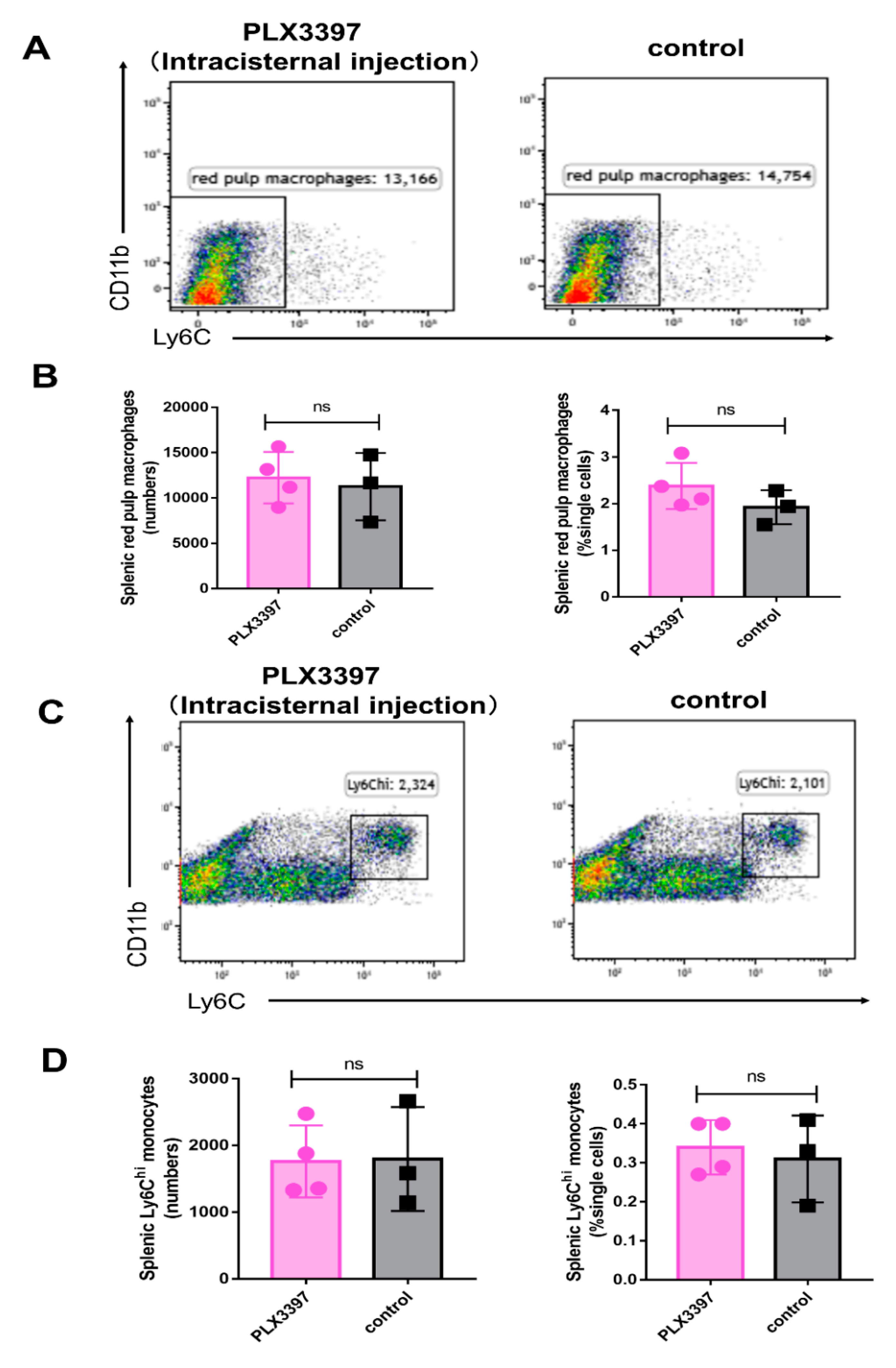 Ijms 21 08603 g007 Ijms 21 08603 g007