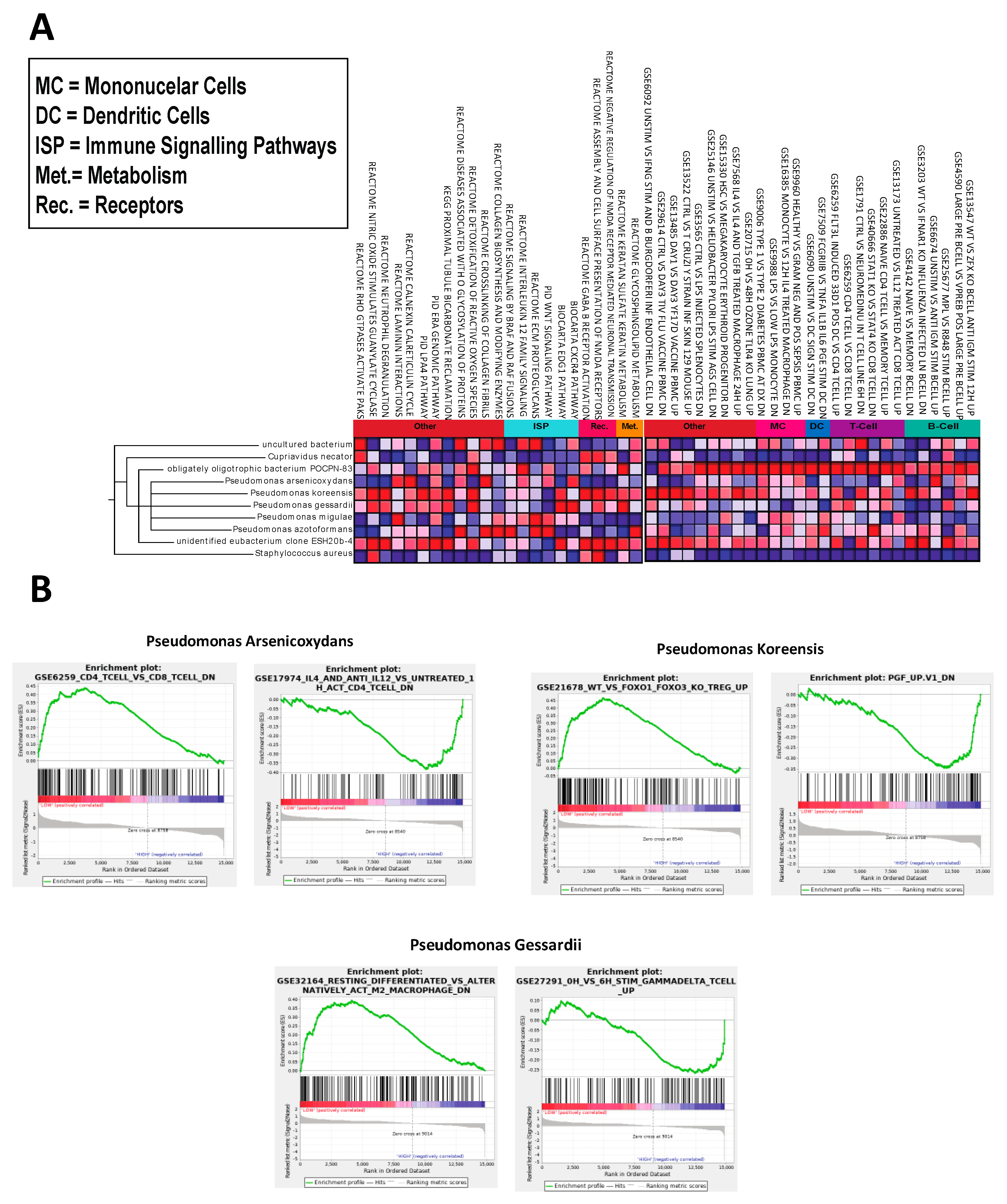 Ijms 21 08618 g003 Ijms 21 08618 g003