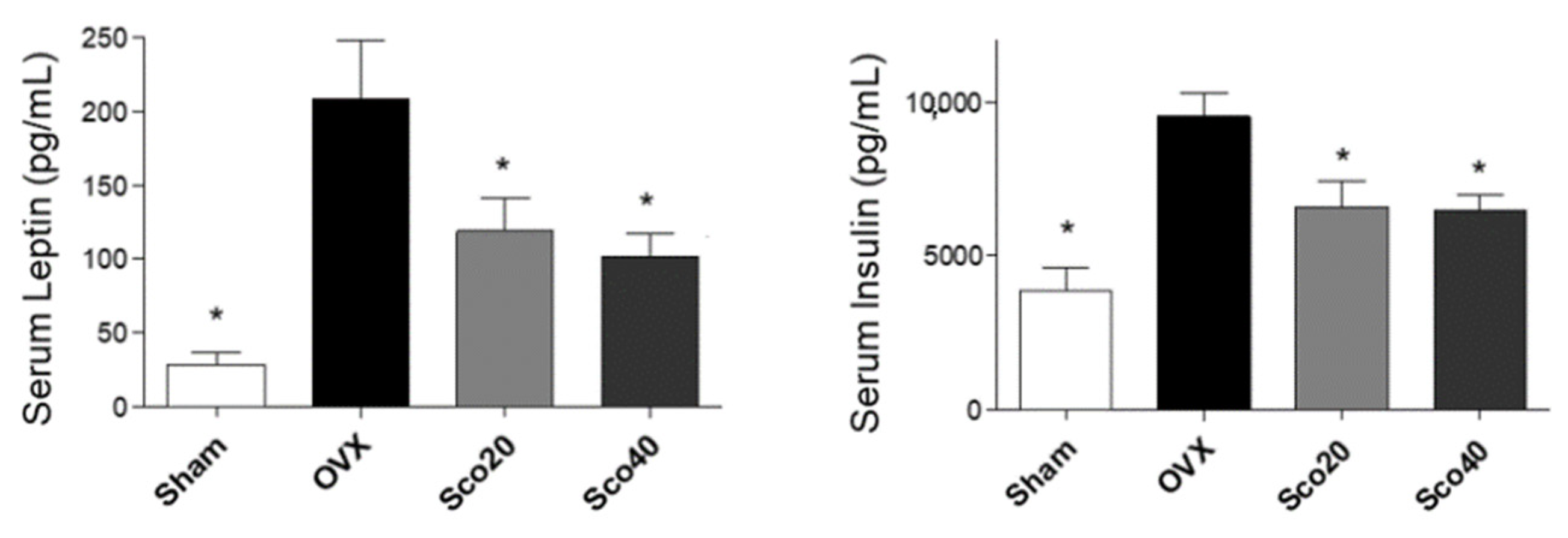 Ijms 21 08699 g004 Ijms 21 08699 g004