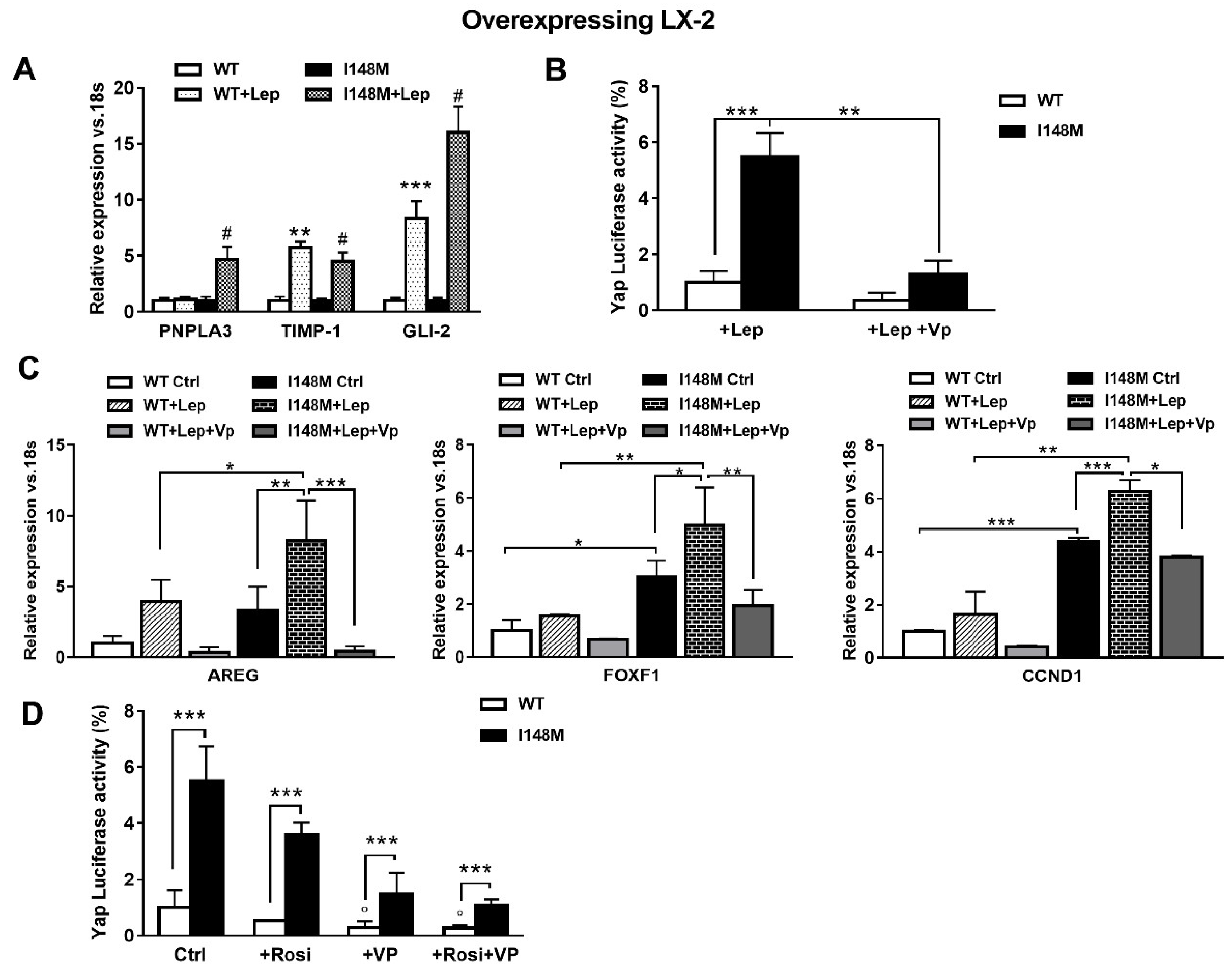 IJMS | Free Full-Text | PNPLA3 I148M Up-Regulates Hedgehog and Yap ...