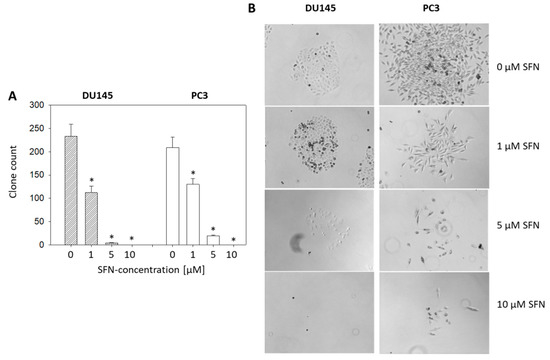 IJMS Free Full Text Sulforaphane Reduces Prostate Cancer Cell