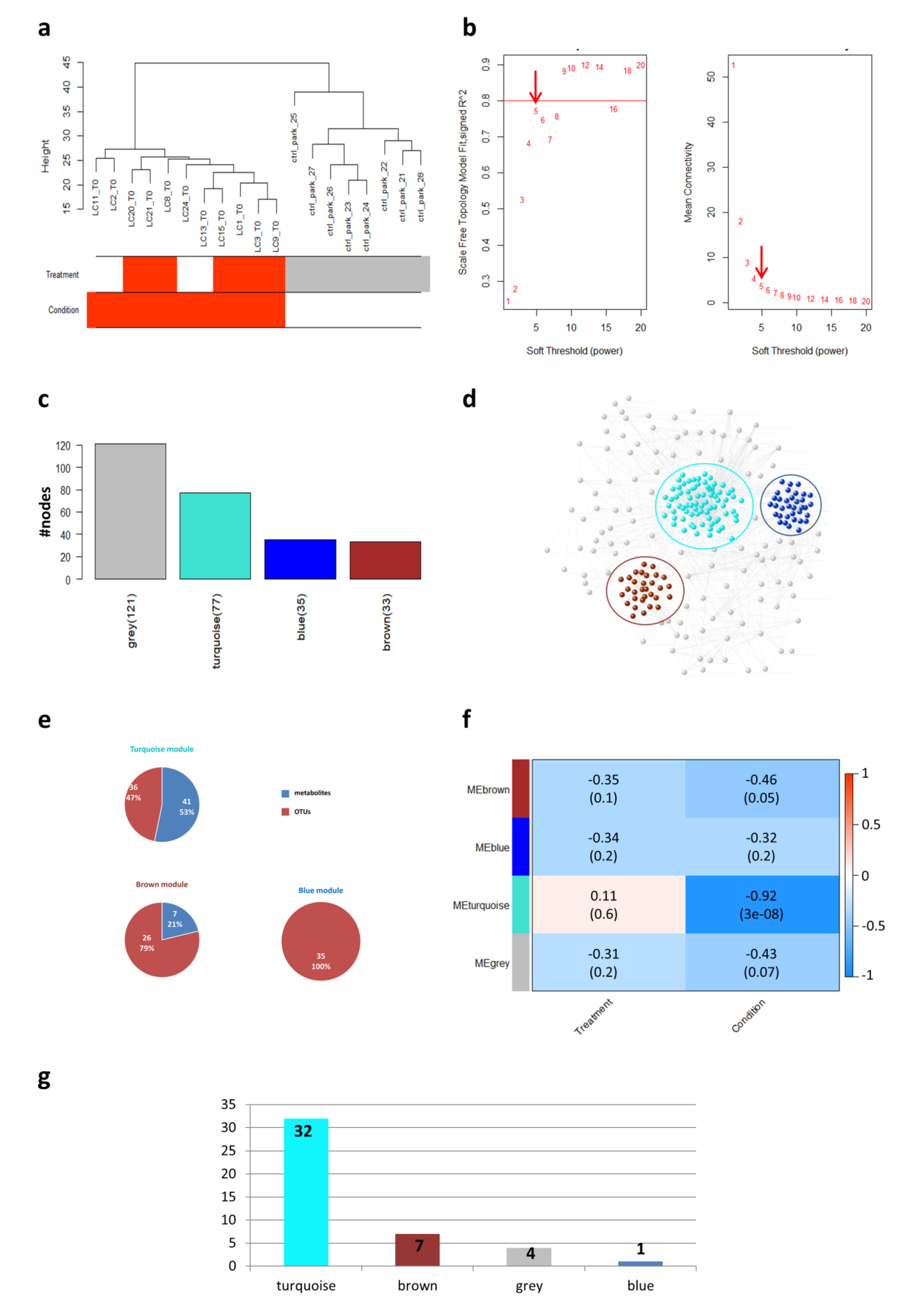 Ijms 21 08730 g001 Ijms 21 08730 g001