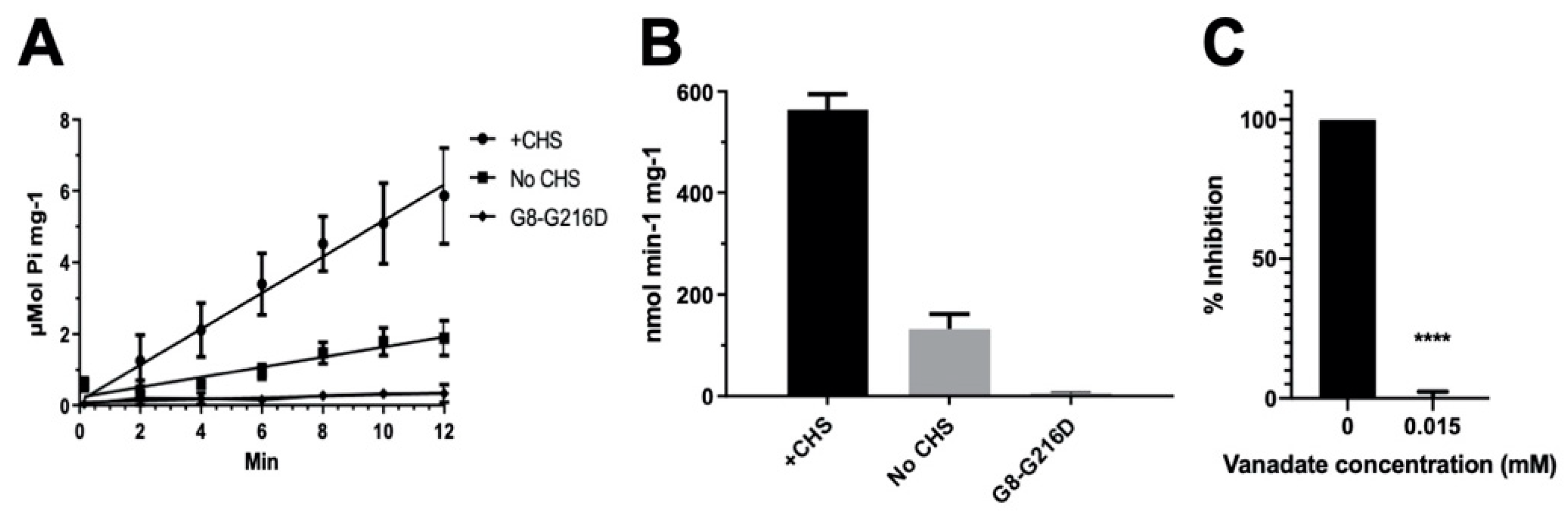 Ijms 21 08747 g003 Ijms 21 08747 g003