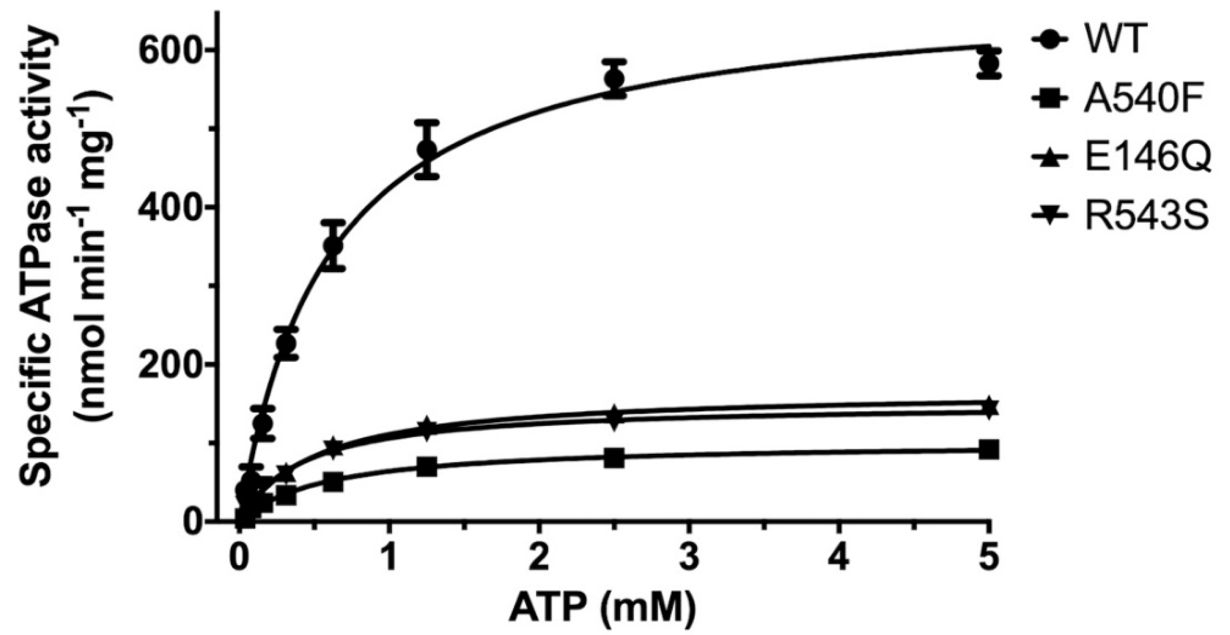 Ijms 21 08747 g005 Ijms 21 08747 g005
