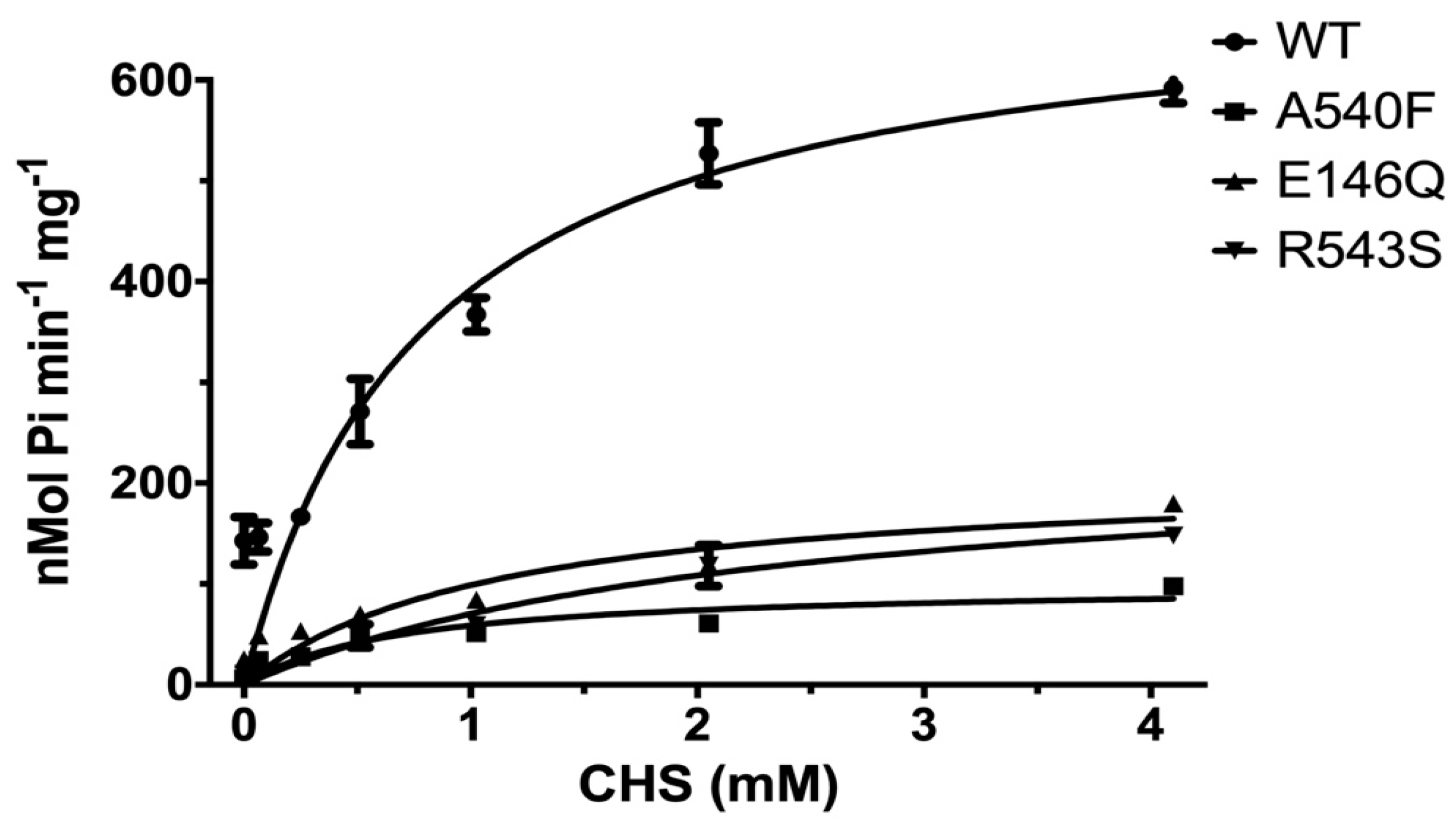Ijms 21 08747 g006 Ijms 21 08747 g006