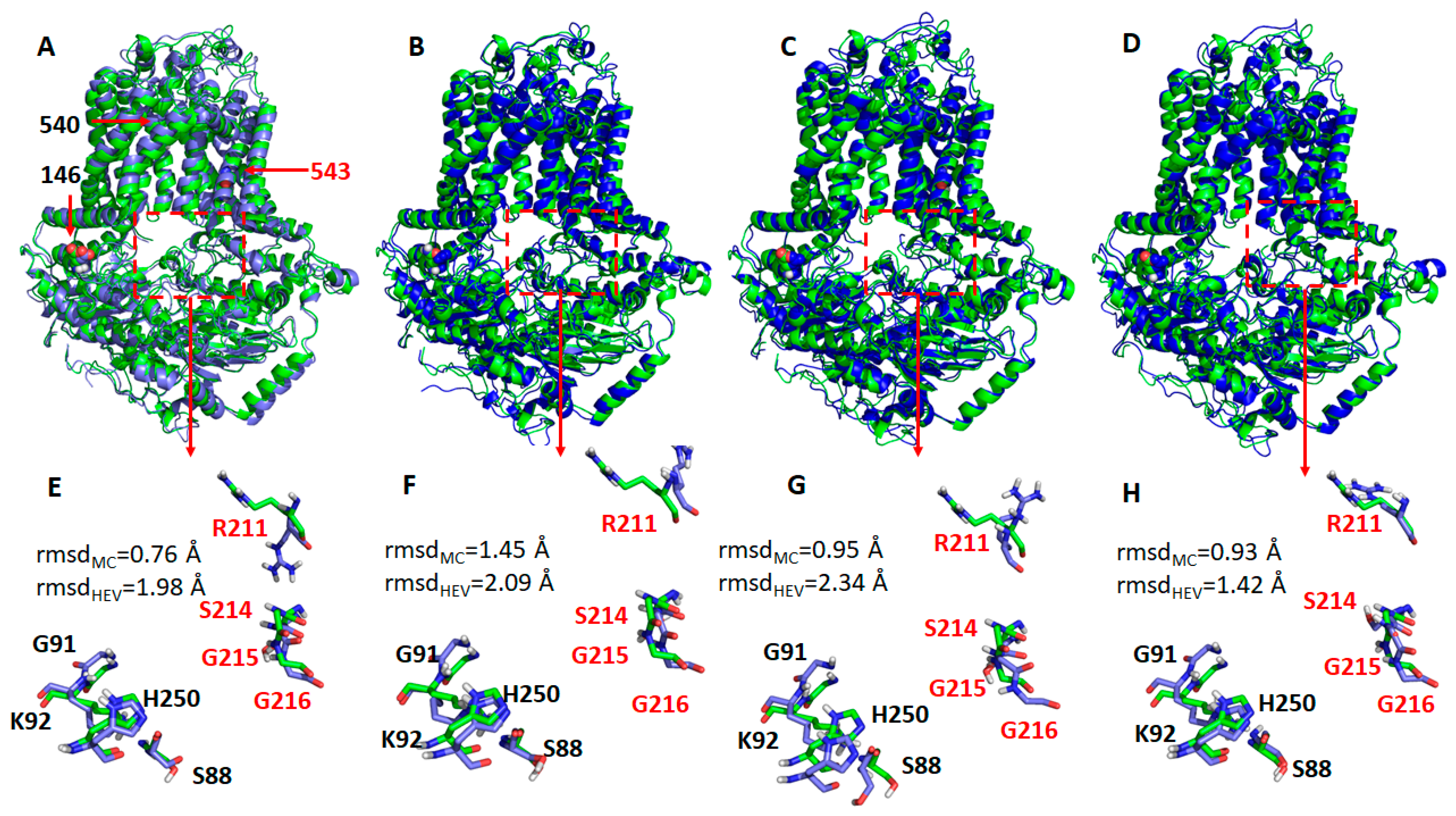 Ijms 21 08747 g008 Ijms 21 08747 g008