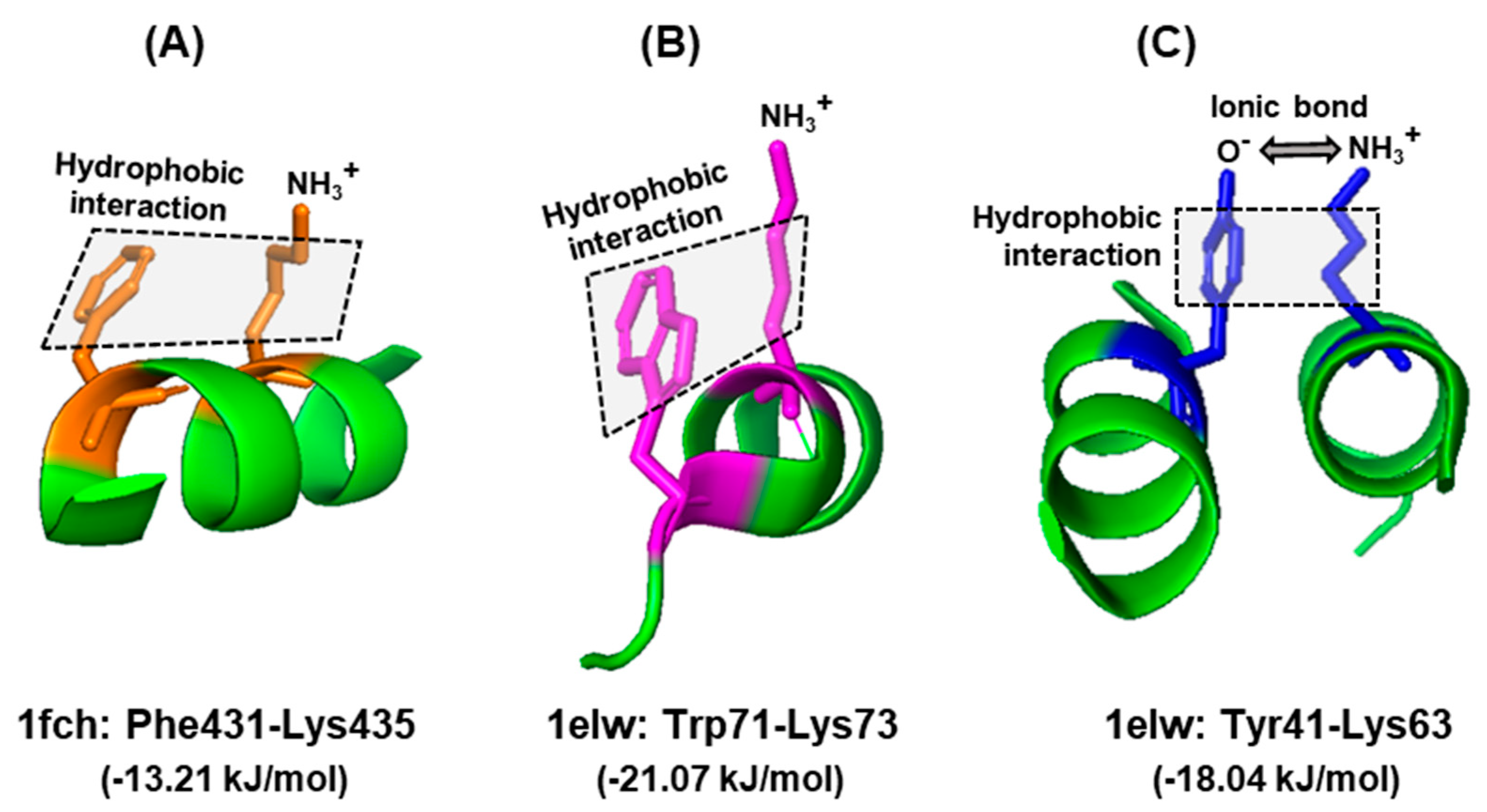 nonpolar hydrophobic amino acids with abbreviations