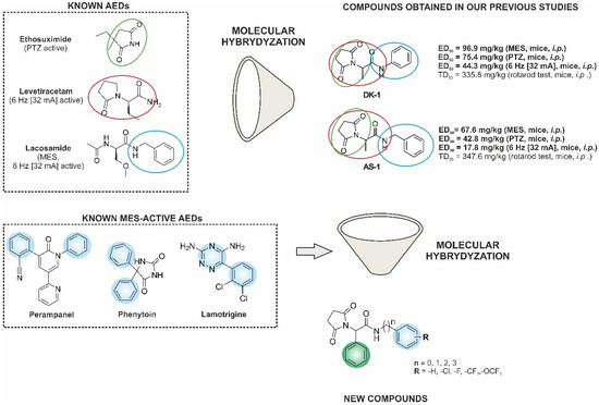 IJMS | Free Full-Text | The Search for New Anticonvulsants in a Group of  (2,5-Dioxopyrrolidin-1-yl)(phenyl)Acetamides with Hybrid  Structure—Synthesis and In Vivo/In Vitro Studies | HTML
