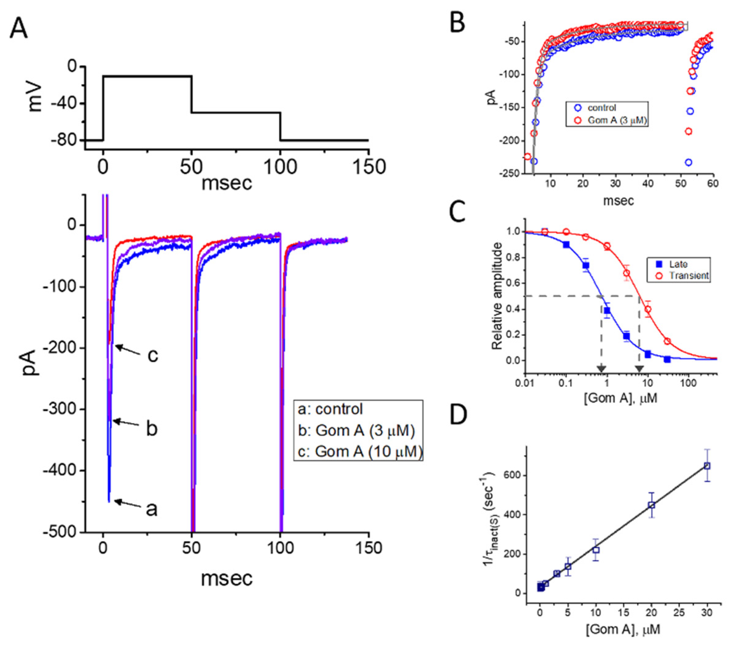 Ijms 21 08816 g001 Ijms 21 08816 g001