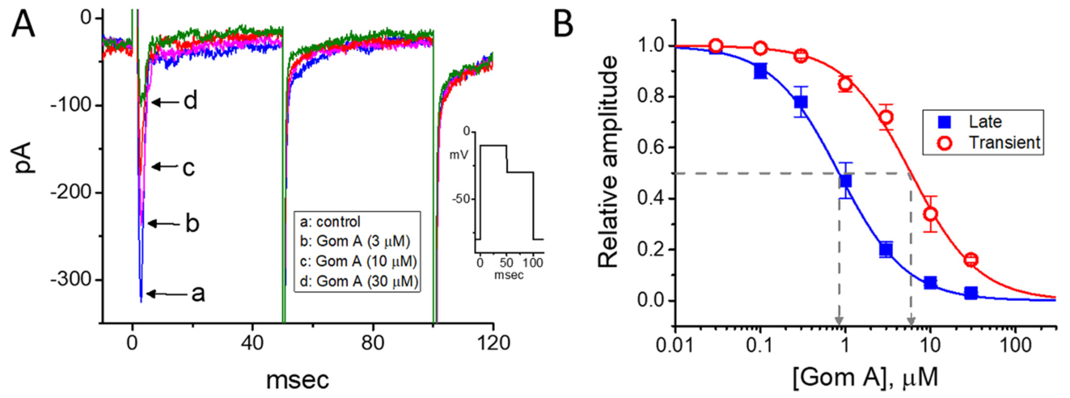 Ijms 21 08816 g008 Ijms 21 08816 g008