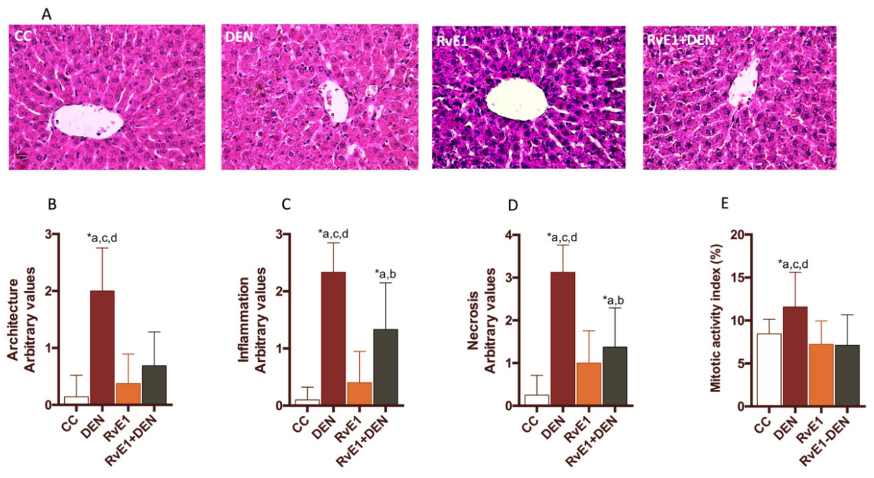 Ijms 21 08827 g001 Ijms 21 08827 g001