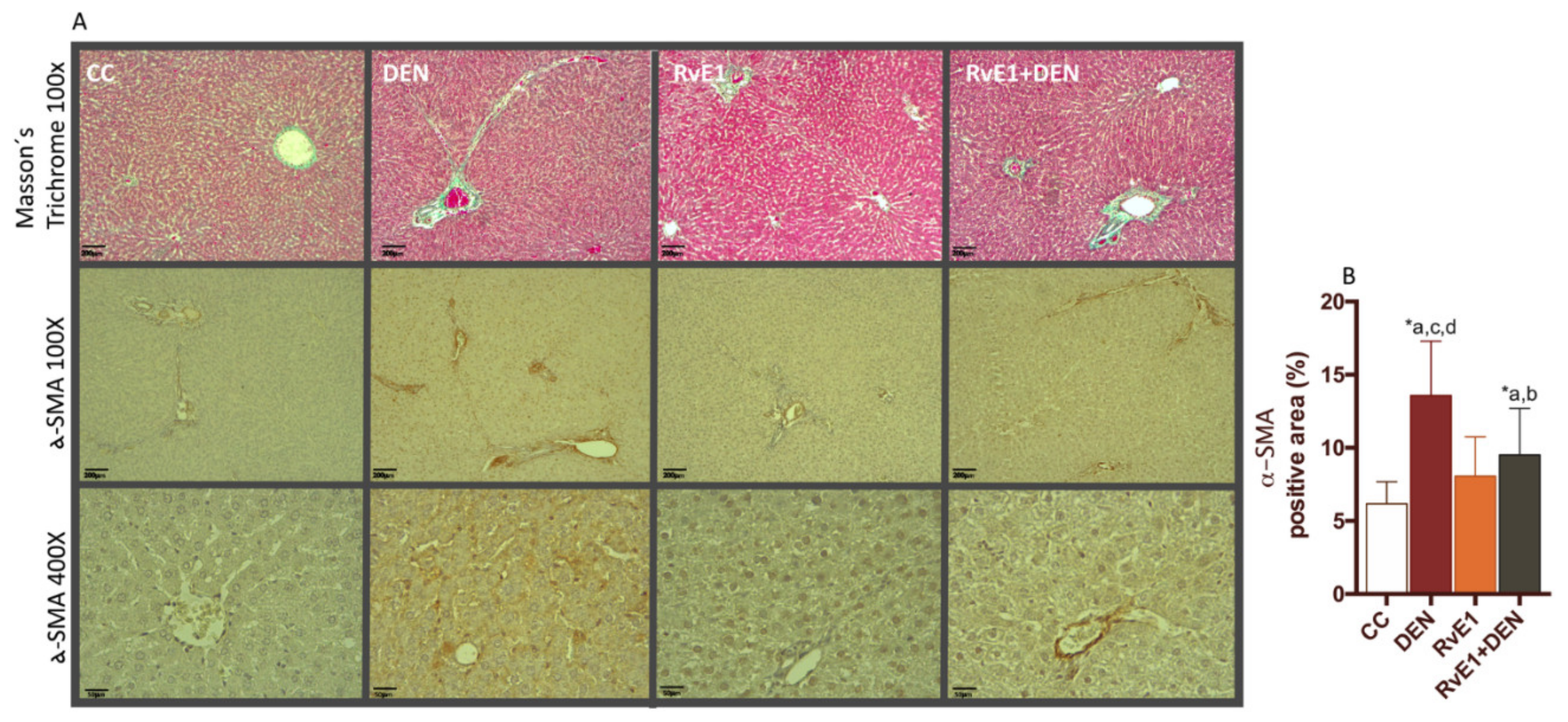 Ijms 21 08827 g002 Ijms 21 08827 g002