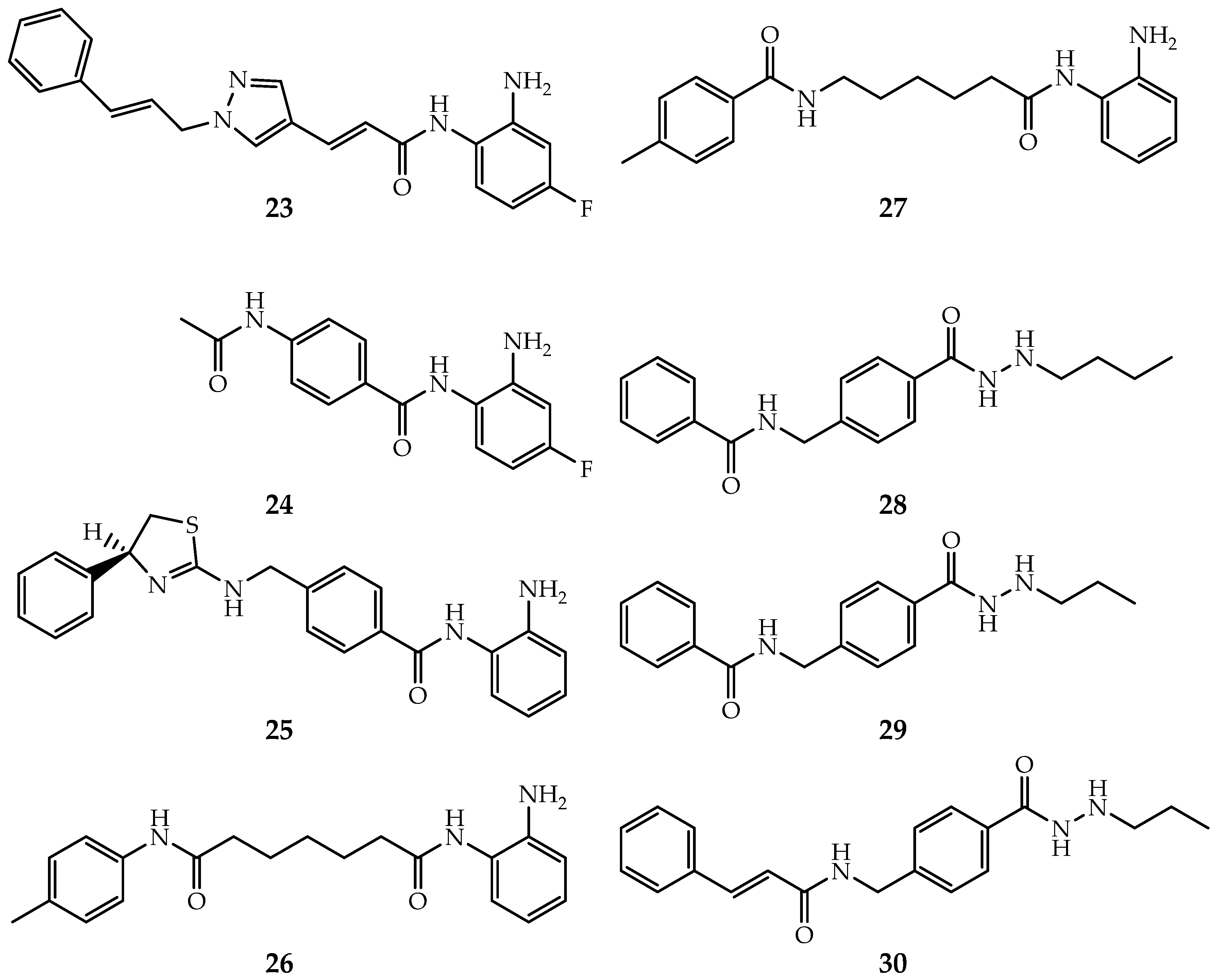 Ijms 21 08828 g008 Ijms 21 08828 g008