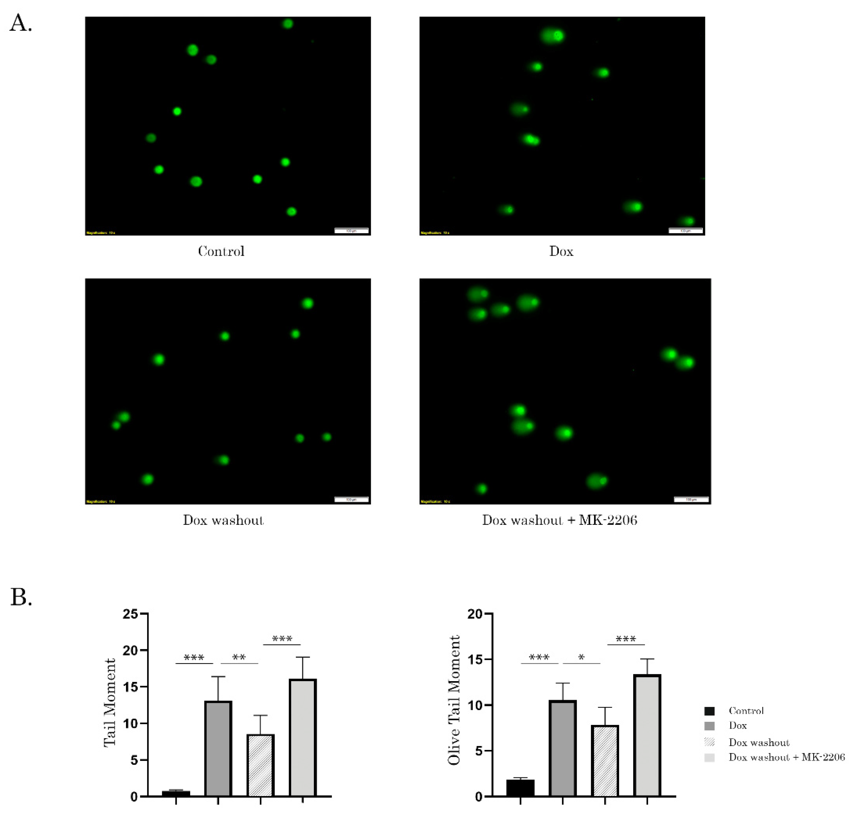 Ijms 21 08842 g003 Ijms 21 08842 g003