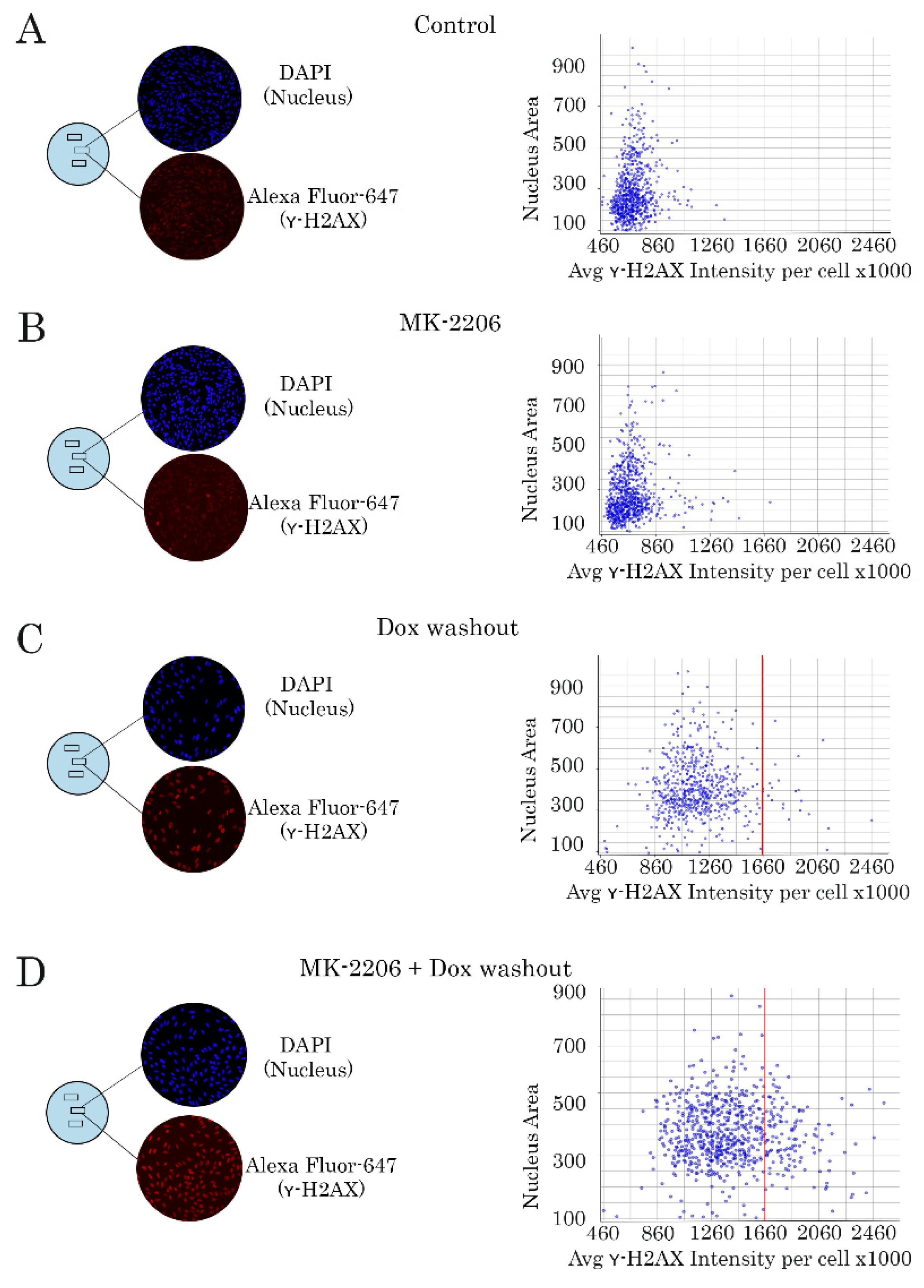 Ijms 21 08842 g004 Ijms 21 08842 g004