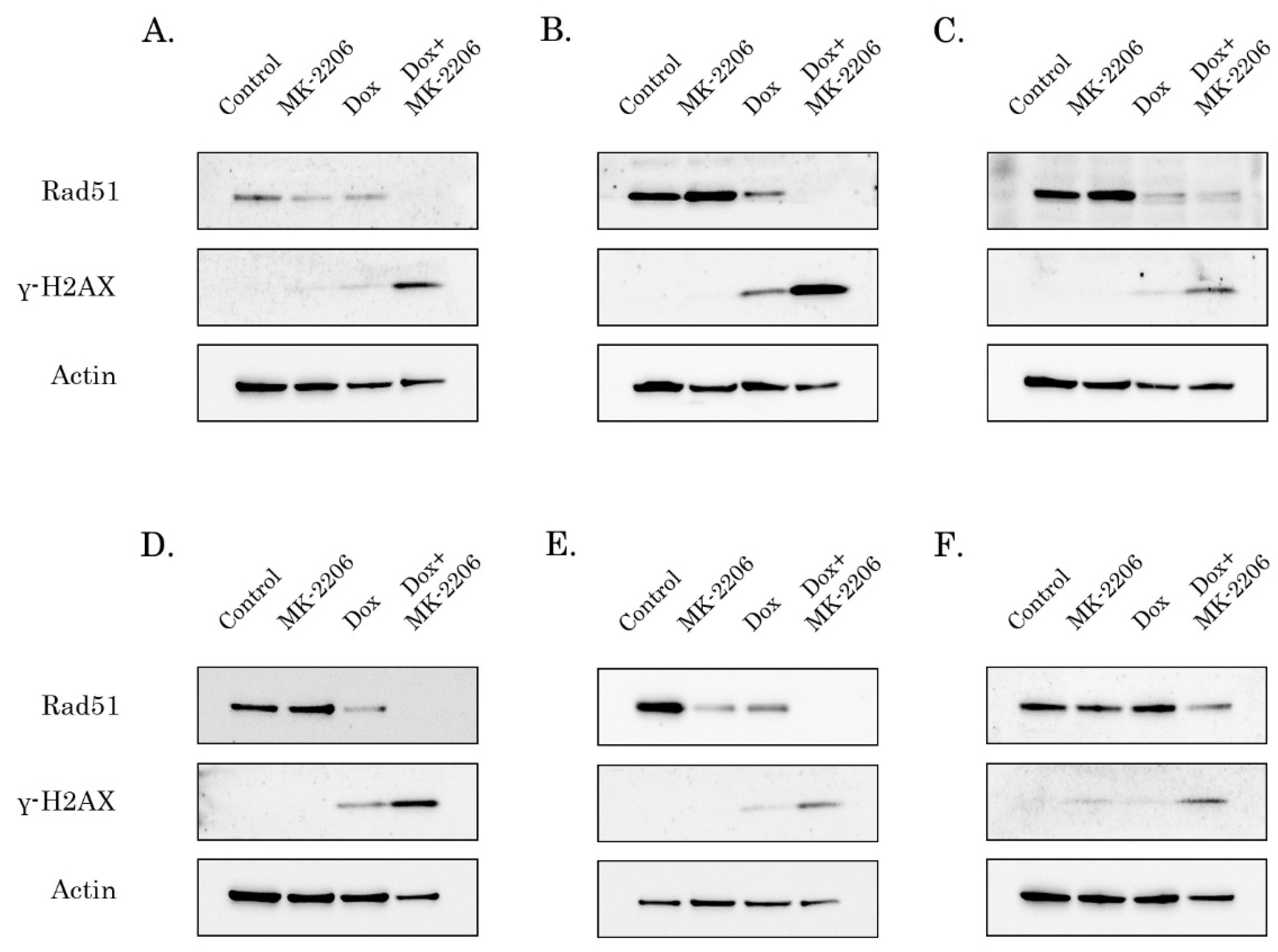 Ijms 21 08842 g005 Ijms 21 08842 g005
