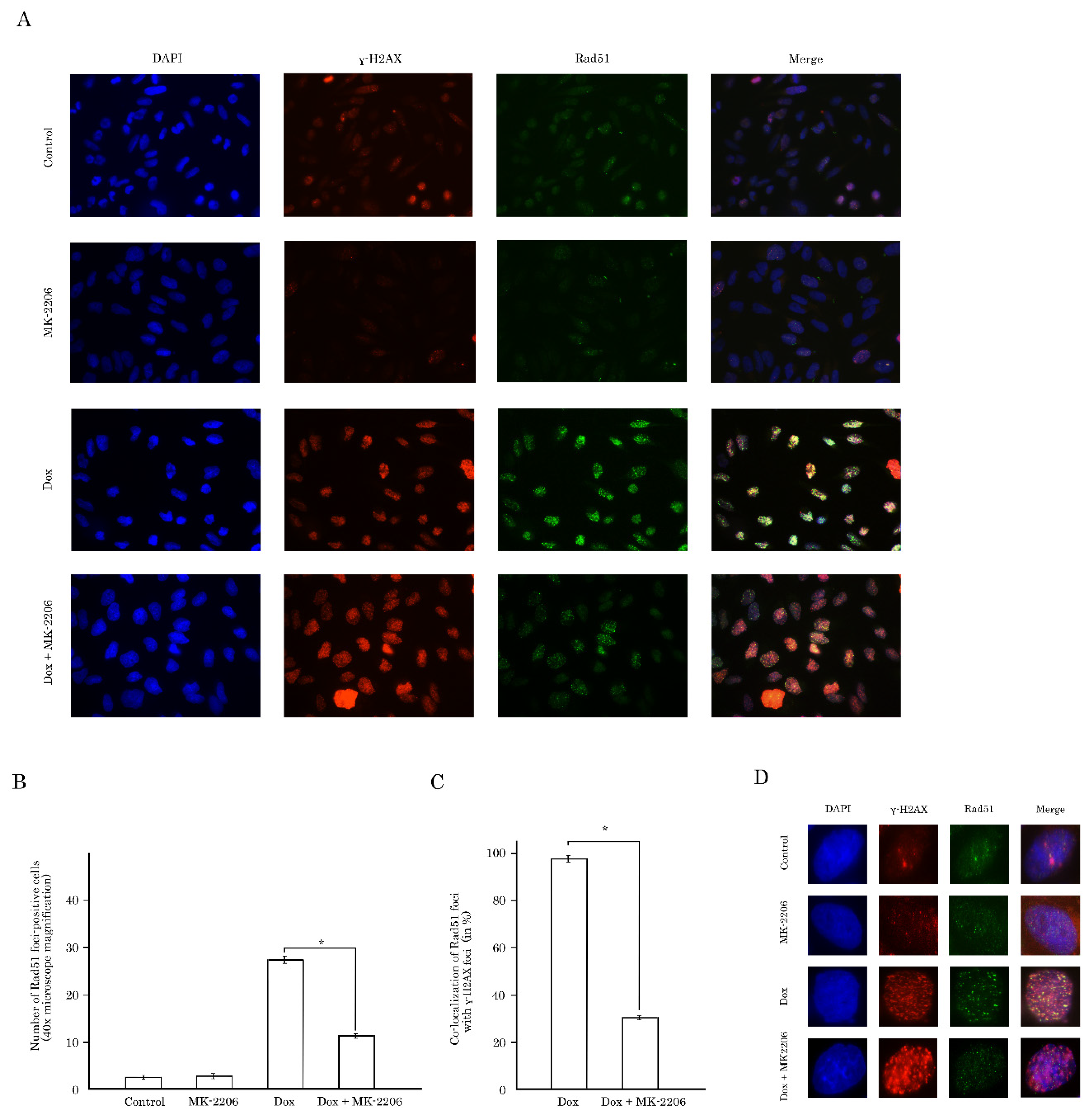 Ijms 21 08842 g007 Ijms 21 08842 g007