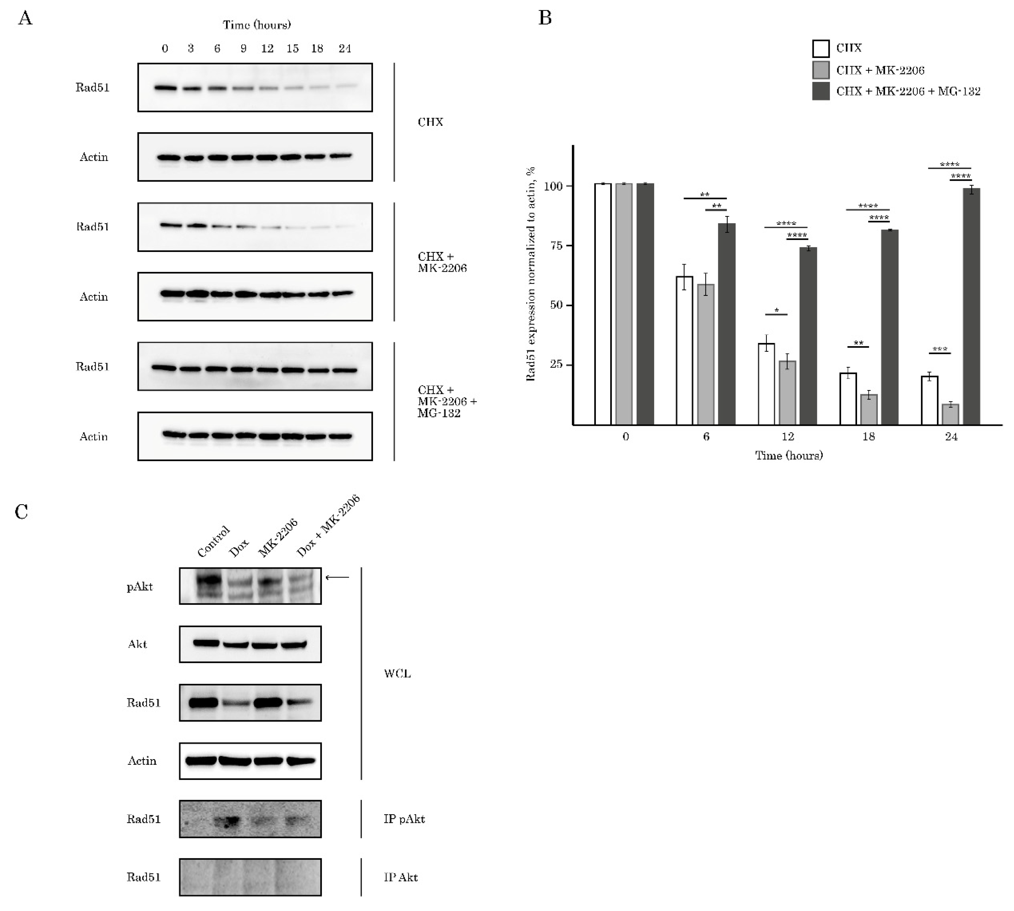 Ijms 21 08842 g008 Ijms 21 08842 g008