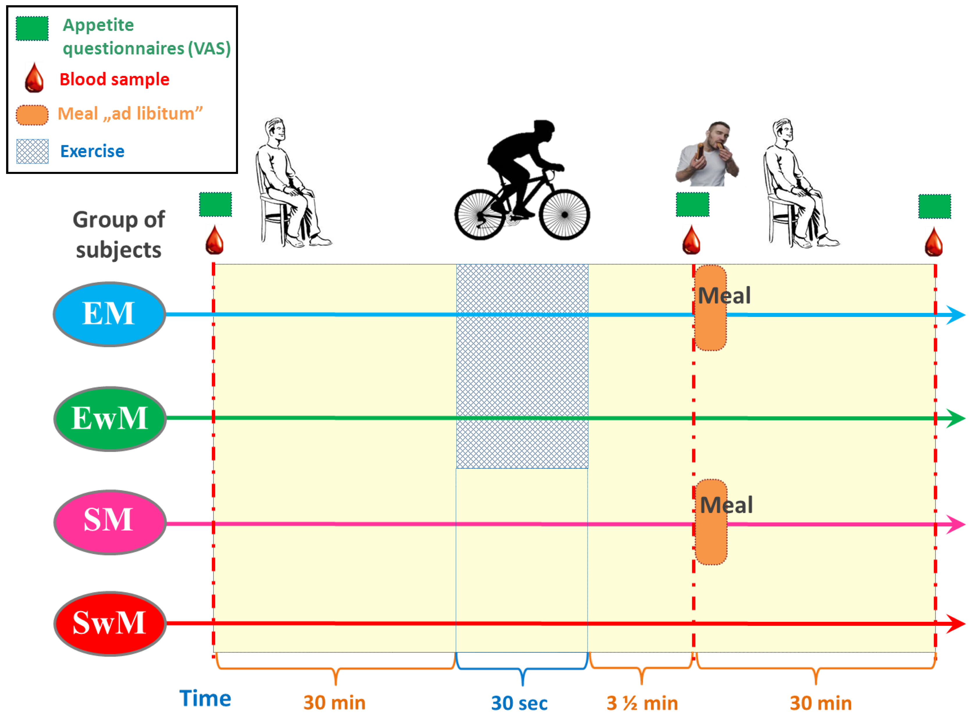 Ijms 21 08848 g005 Ijms 21 08848 g005