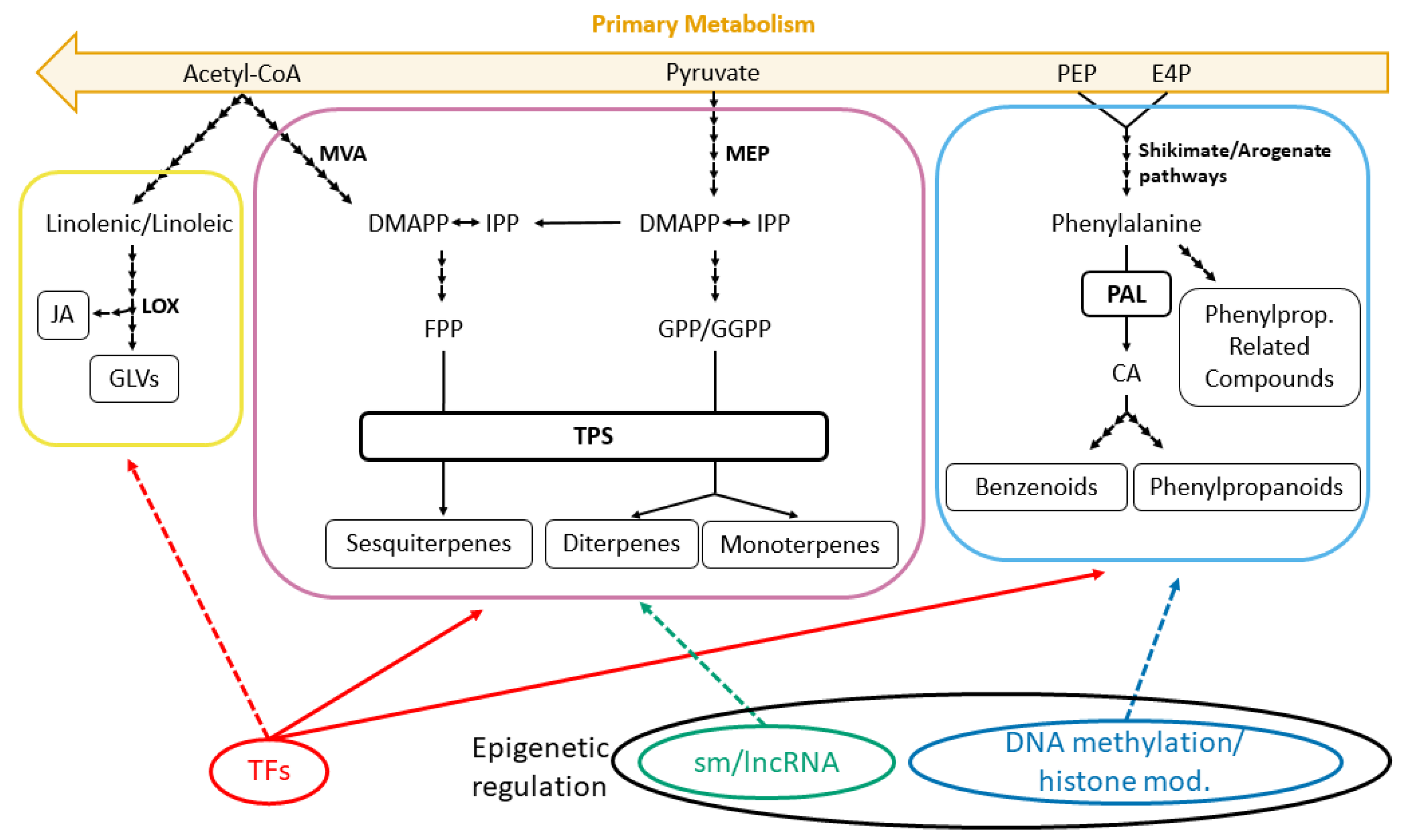 Ijms 21 08956 g001 Ijms 21 08956 g001