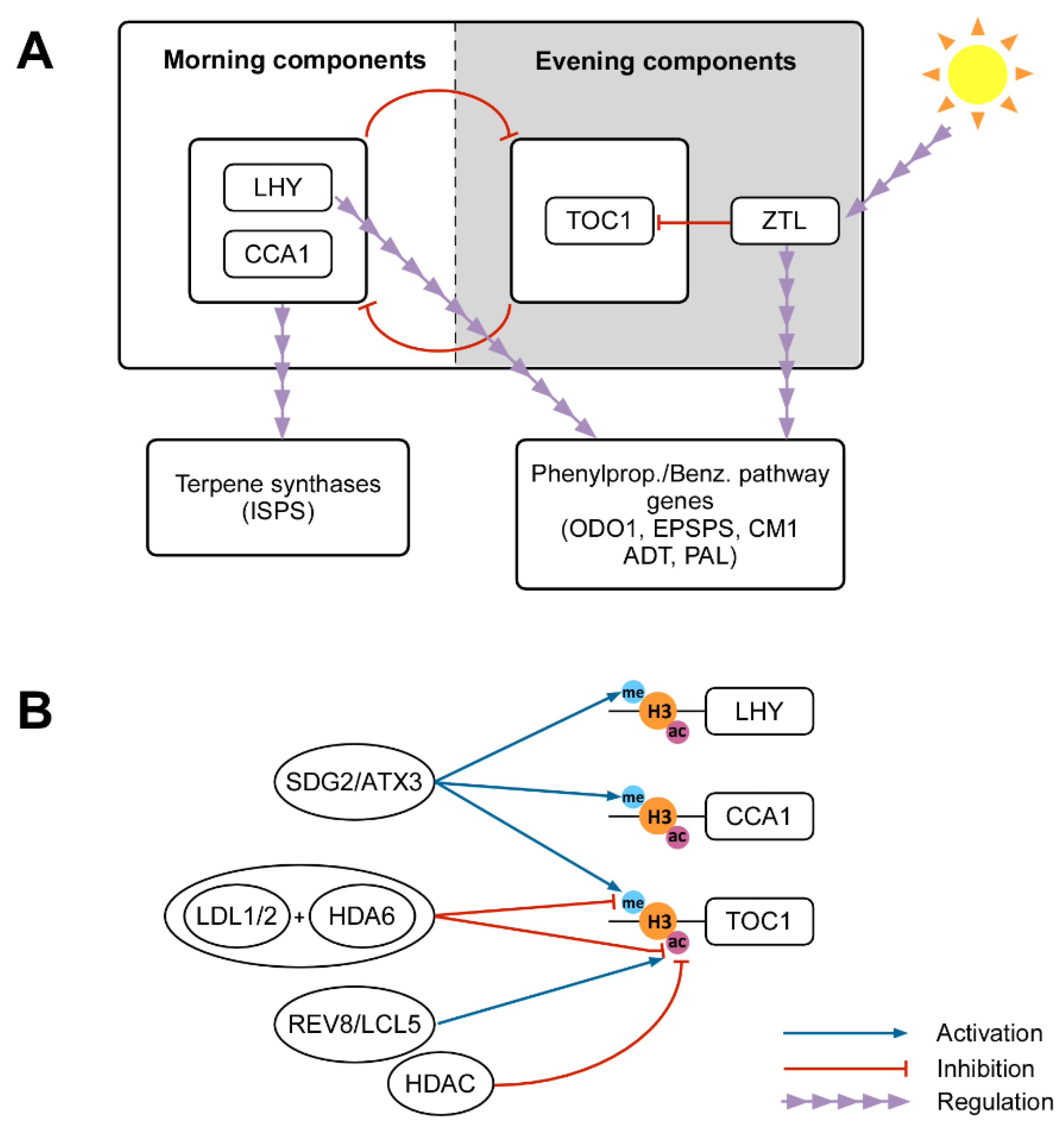 Ijms 21 08956 g002 Ijms 21 08956 g002
