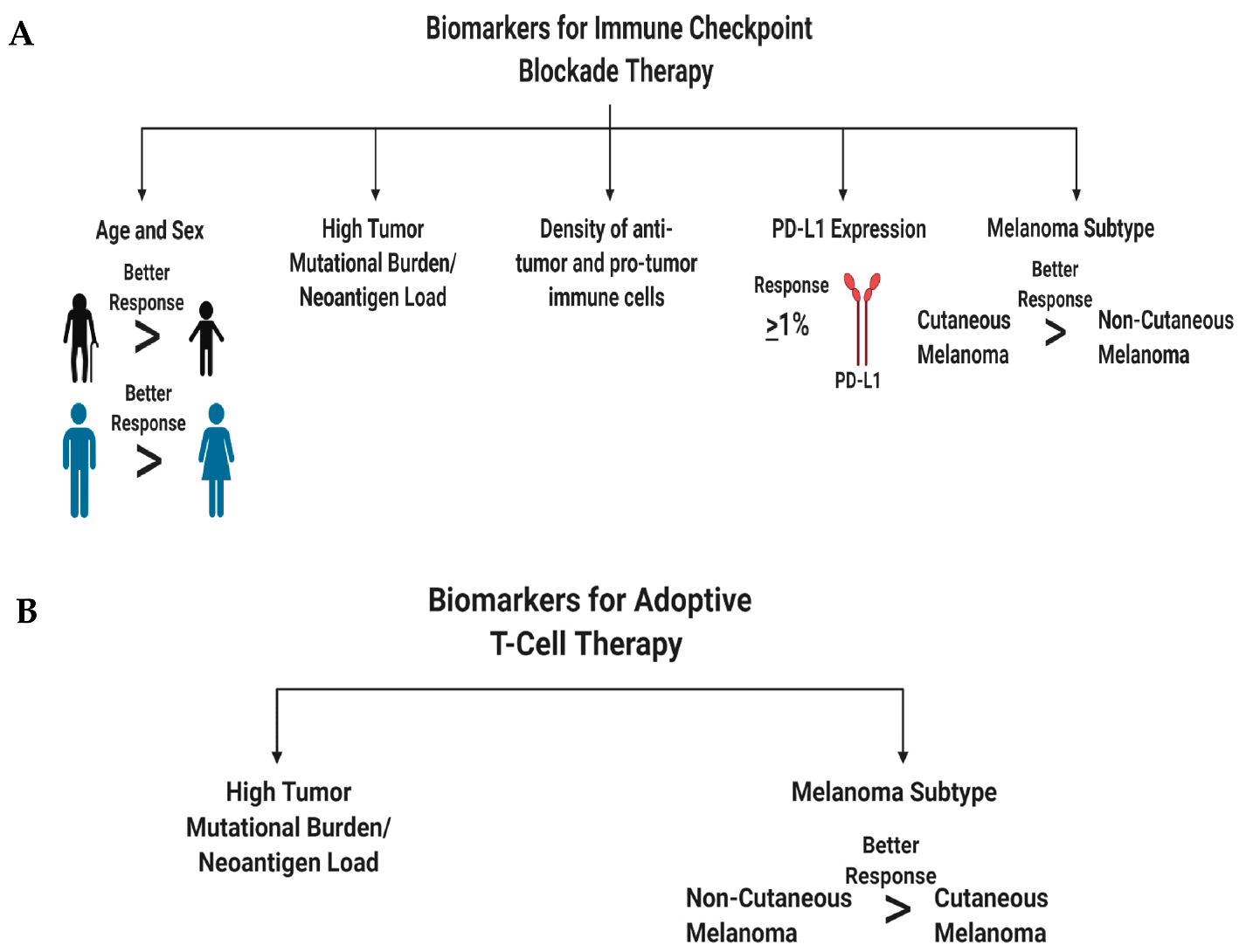 Ijms 21 08984 g004 Ijms 21 08984 g004