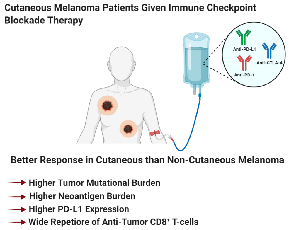 Ijms 21 08984 g005 Ijms 21 08984 g005