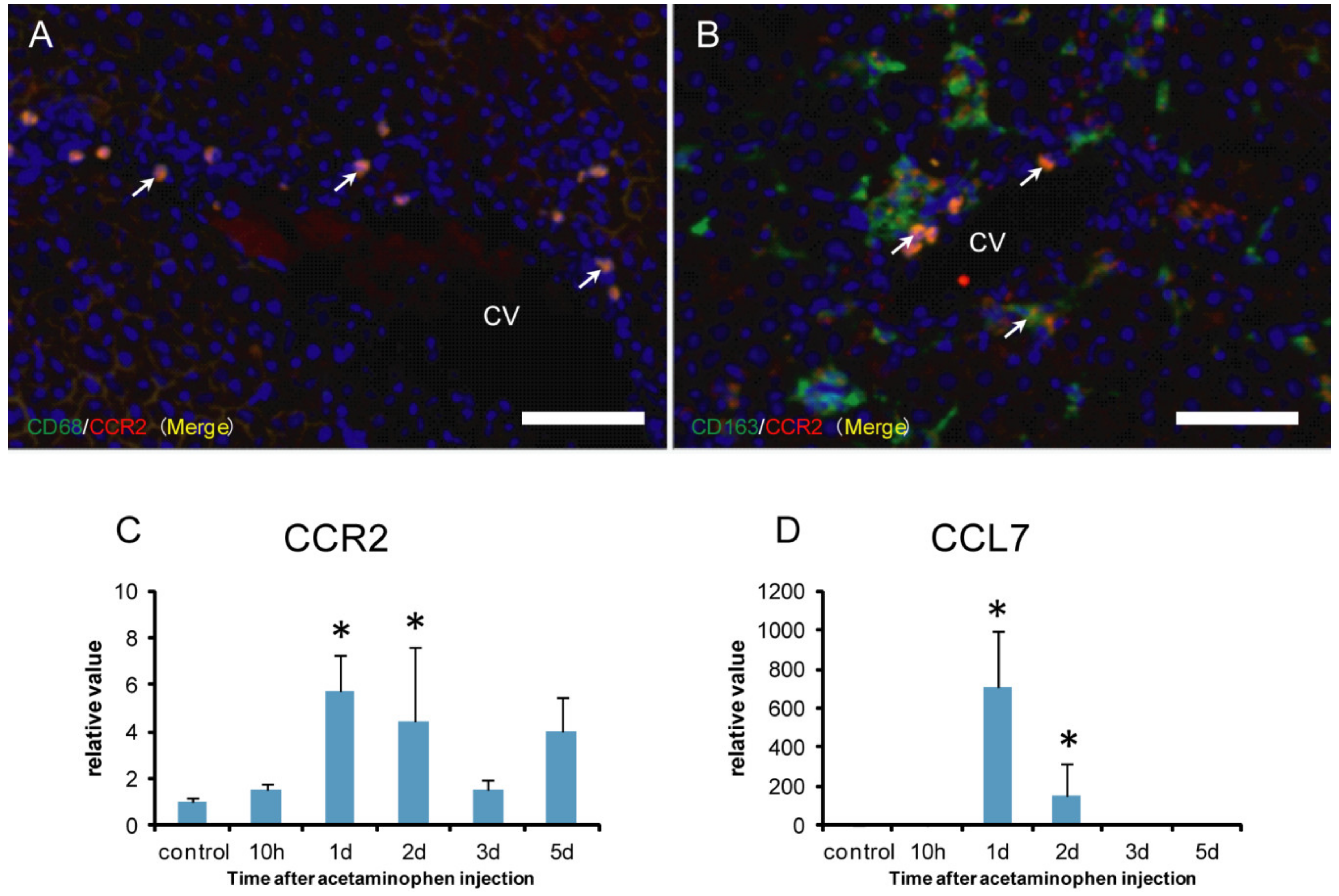 Ijms 21 08998 g008 Ijms 21 08998 g008