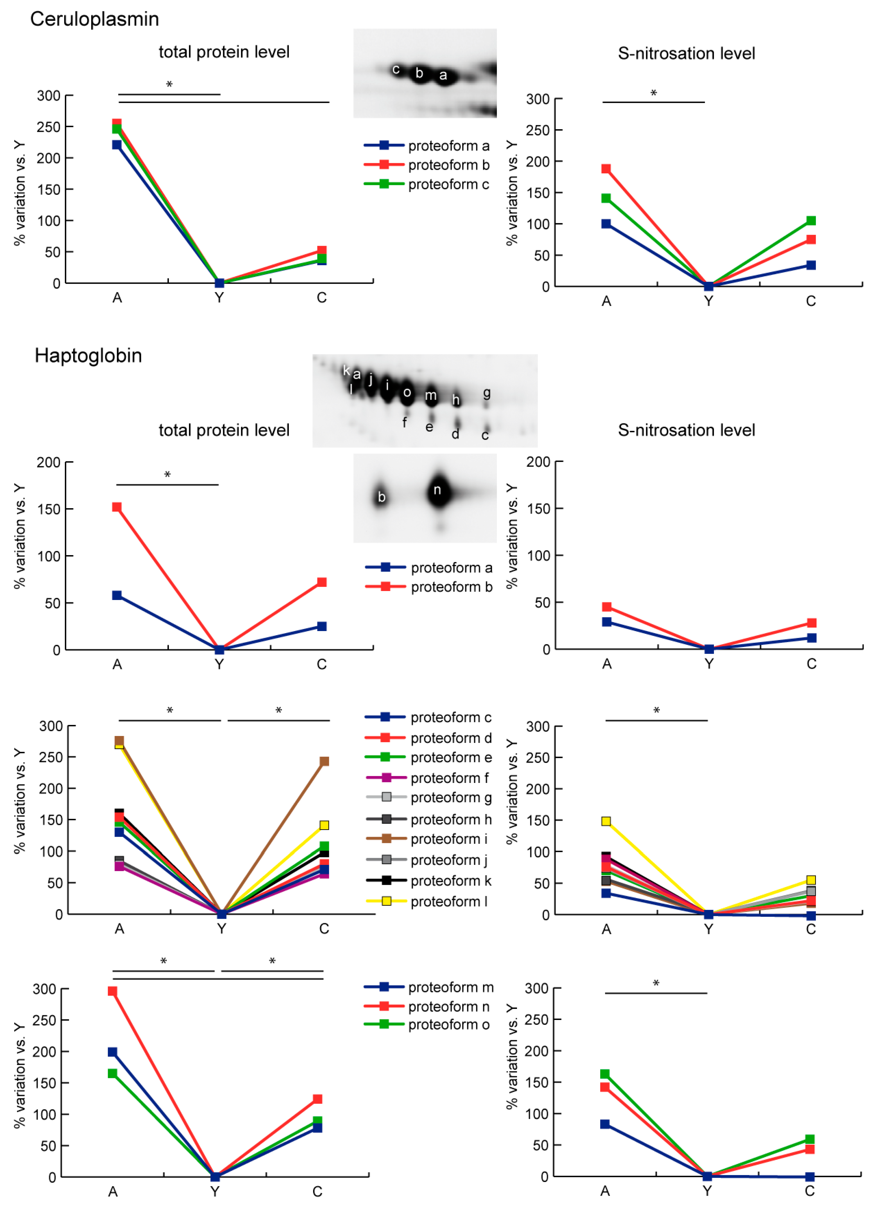 Ijms 21 09009 g004 Ijms 21 09009 g004