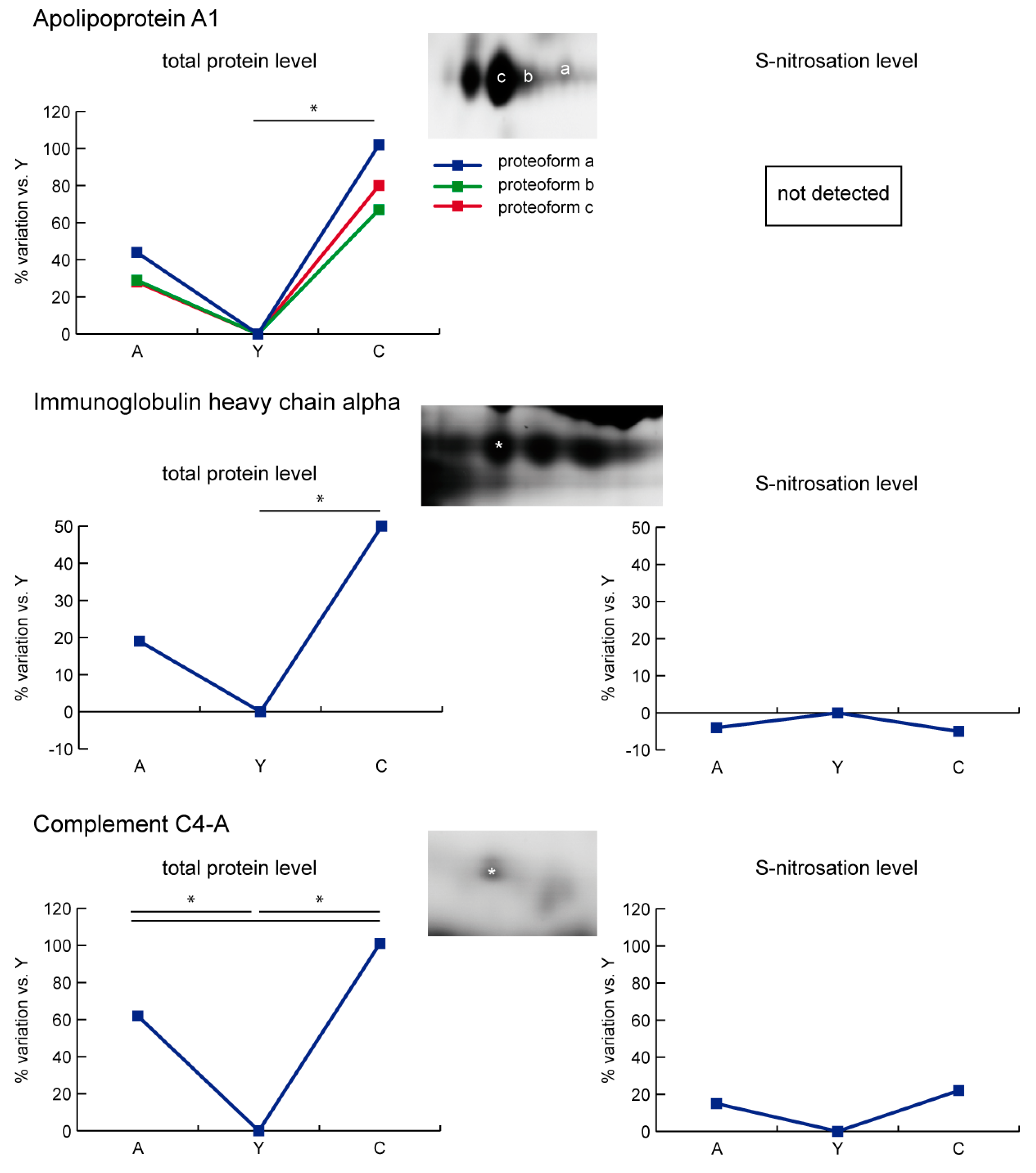 Ijms 21 09009 g007 Ijms 21 09009 g007