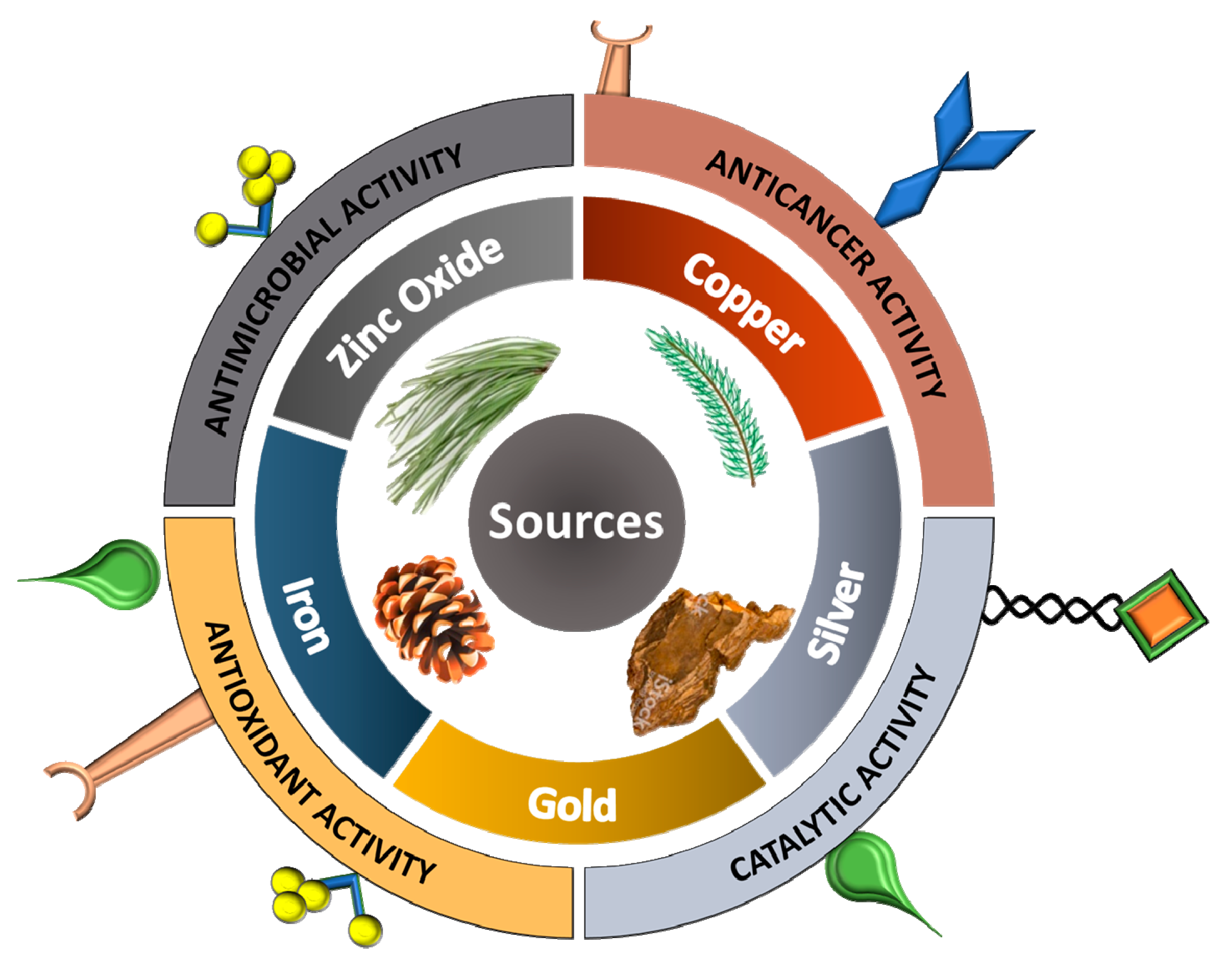 Ijms 21 09028 g002 Ijms 21 09028 g002