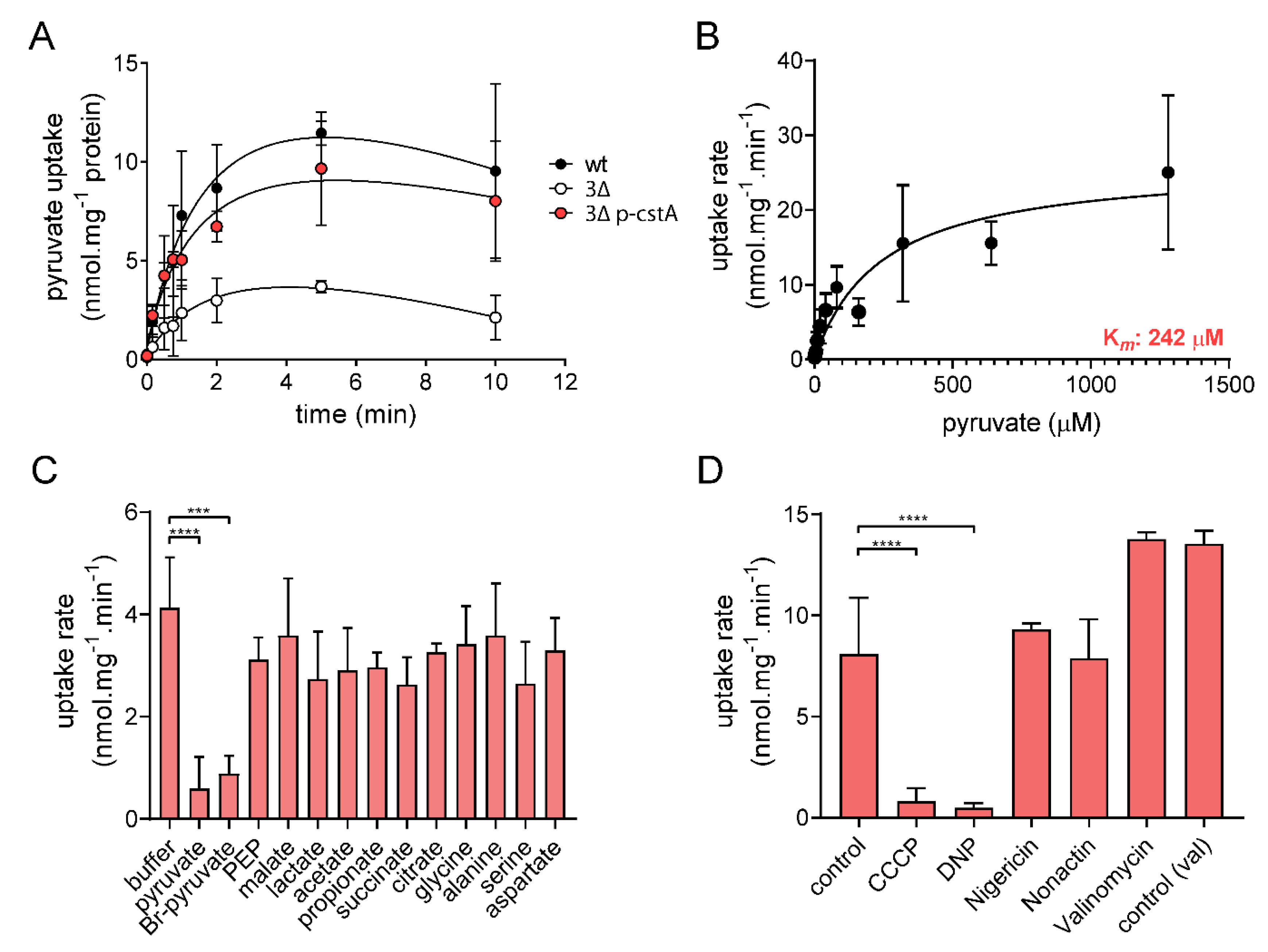 Ijms 21 09068 g003 Ijms 21 09068 g003