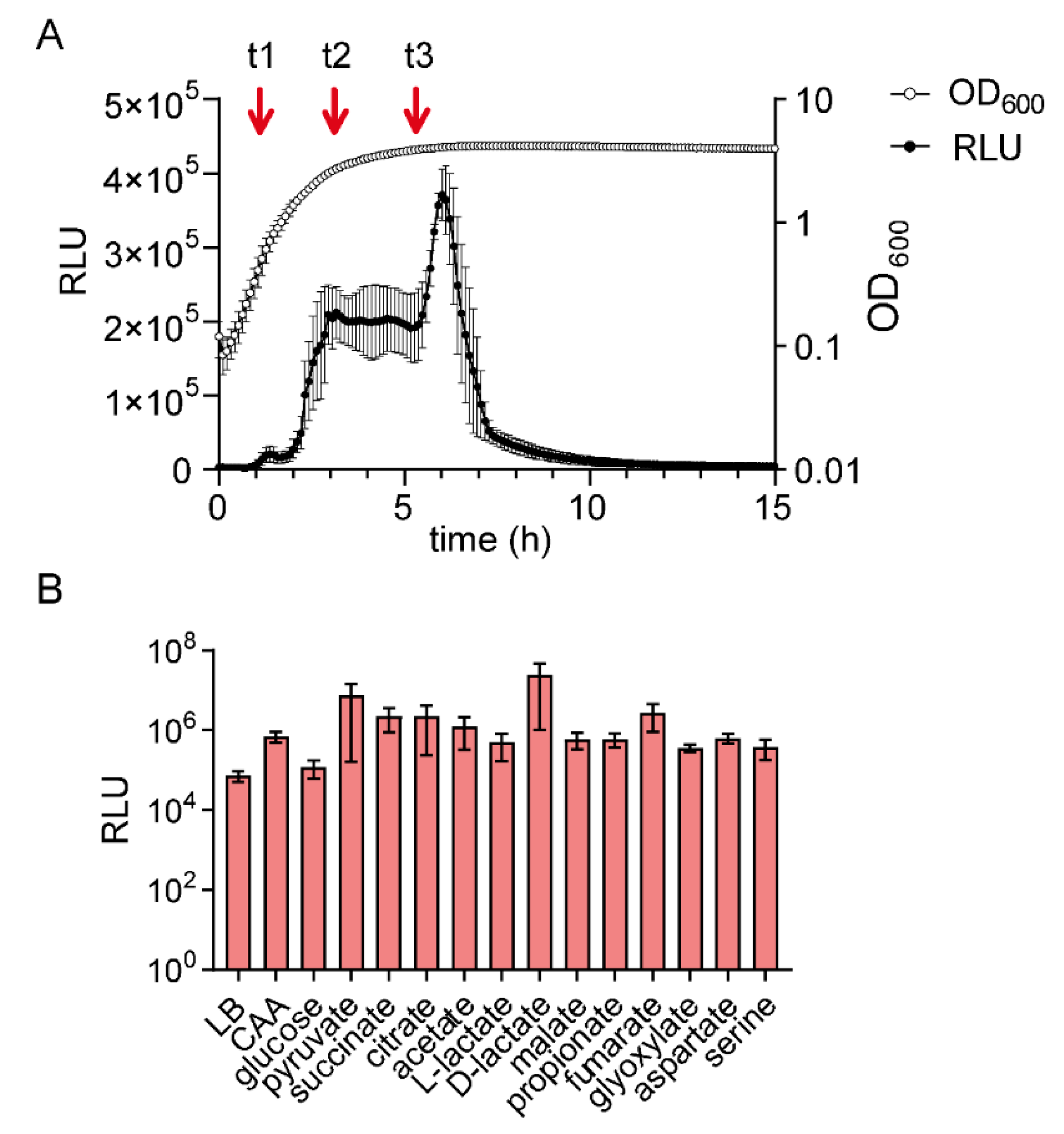 Ijms 21 09068 g004 Ijms 21 09068 g004